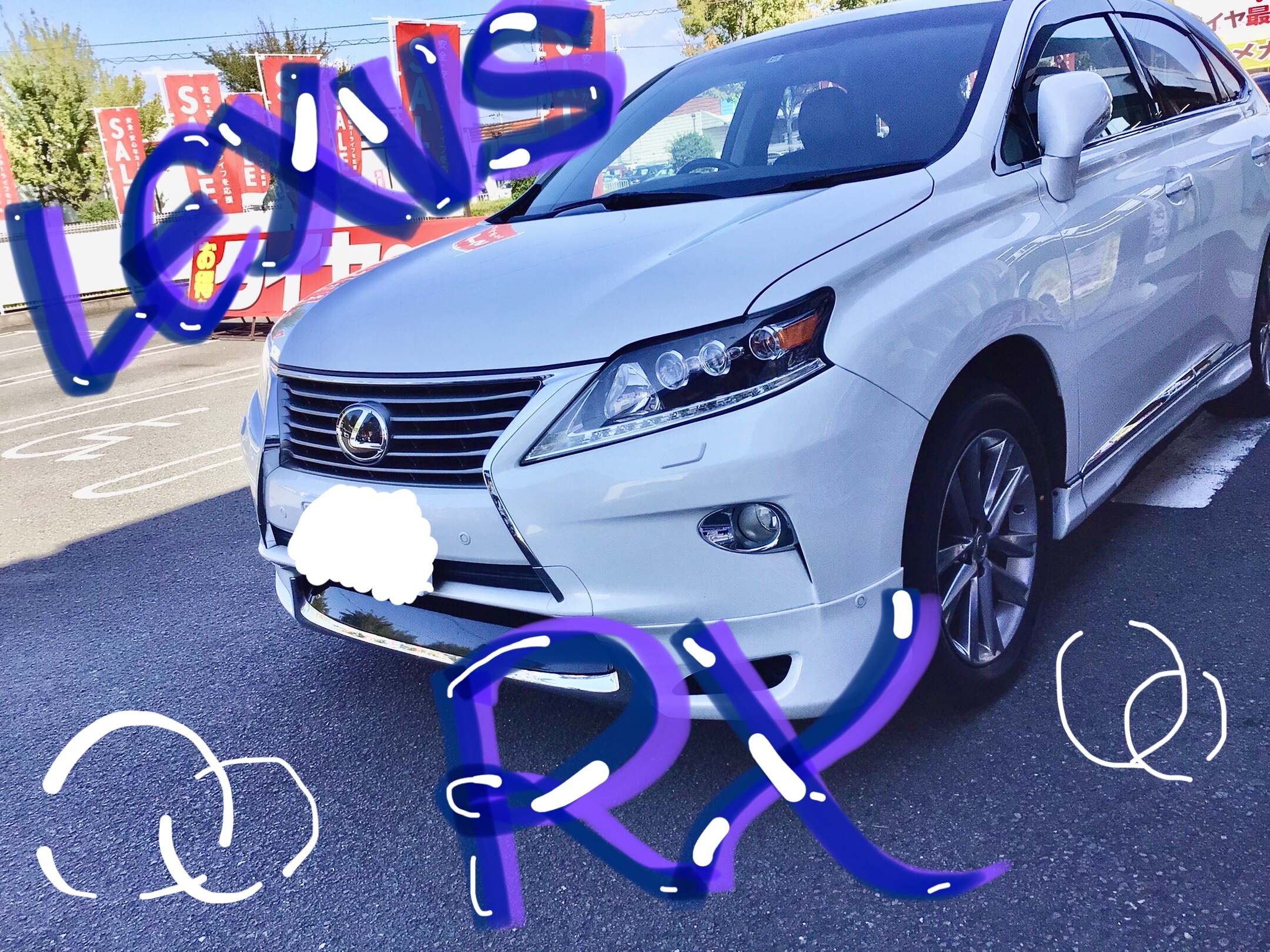 スタッフ撮影分