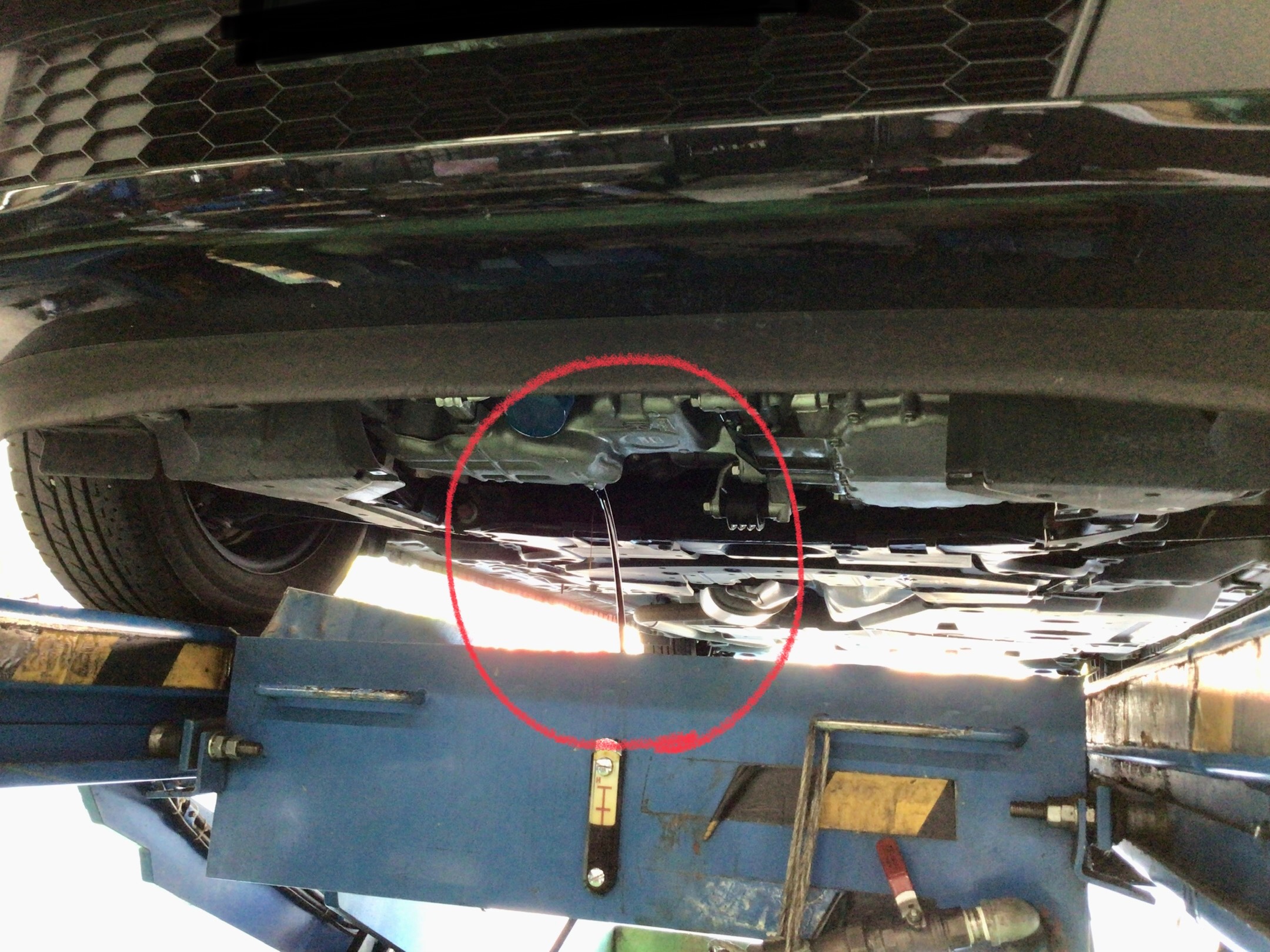 スタッフ撮影分