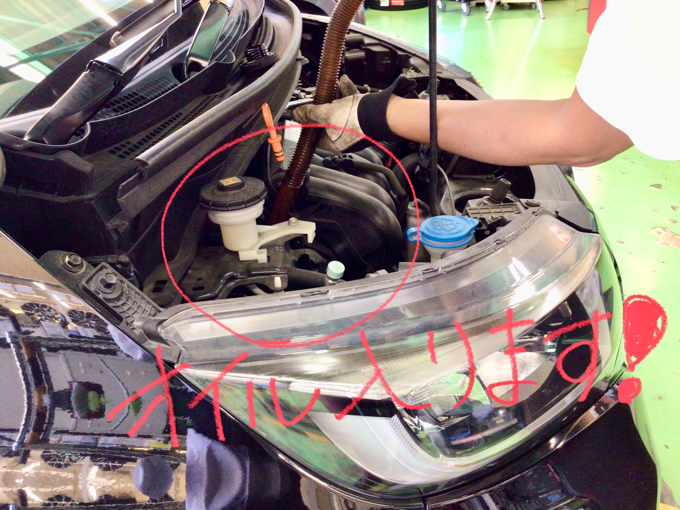 スタッフ撮影分