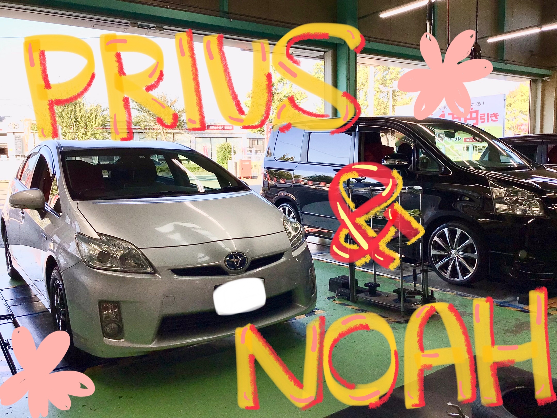 スタッフ撮影分