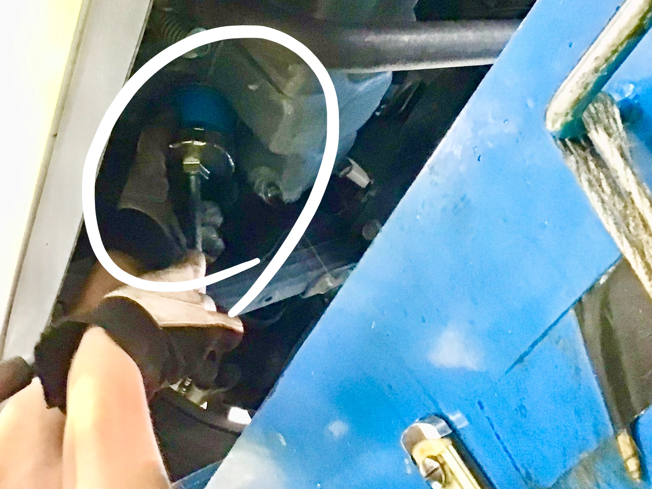 スタッフ撮影分