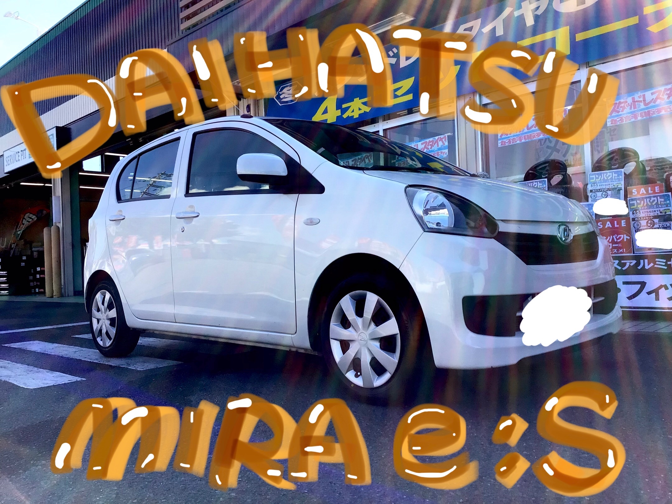 スタッフ撮影分