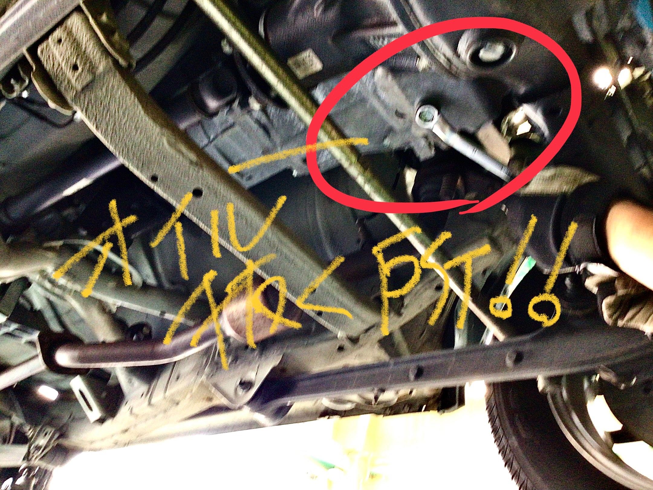 スタッフ撮影分