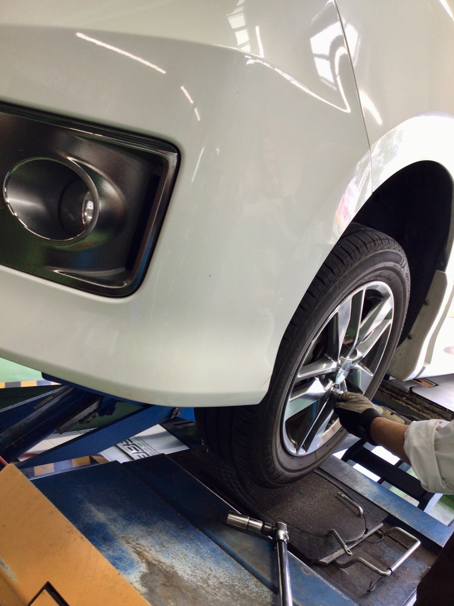 スタッフ撮影分