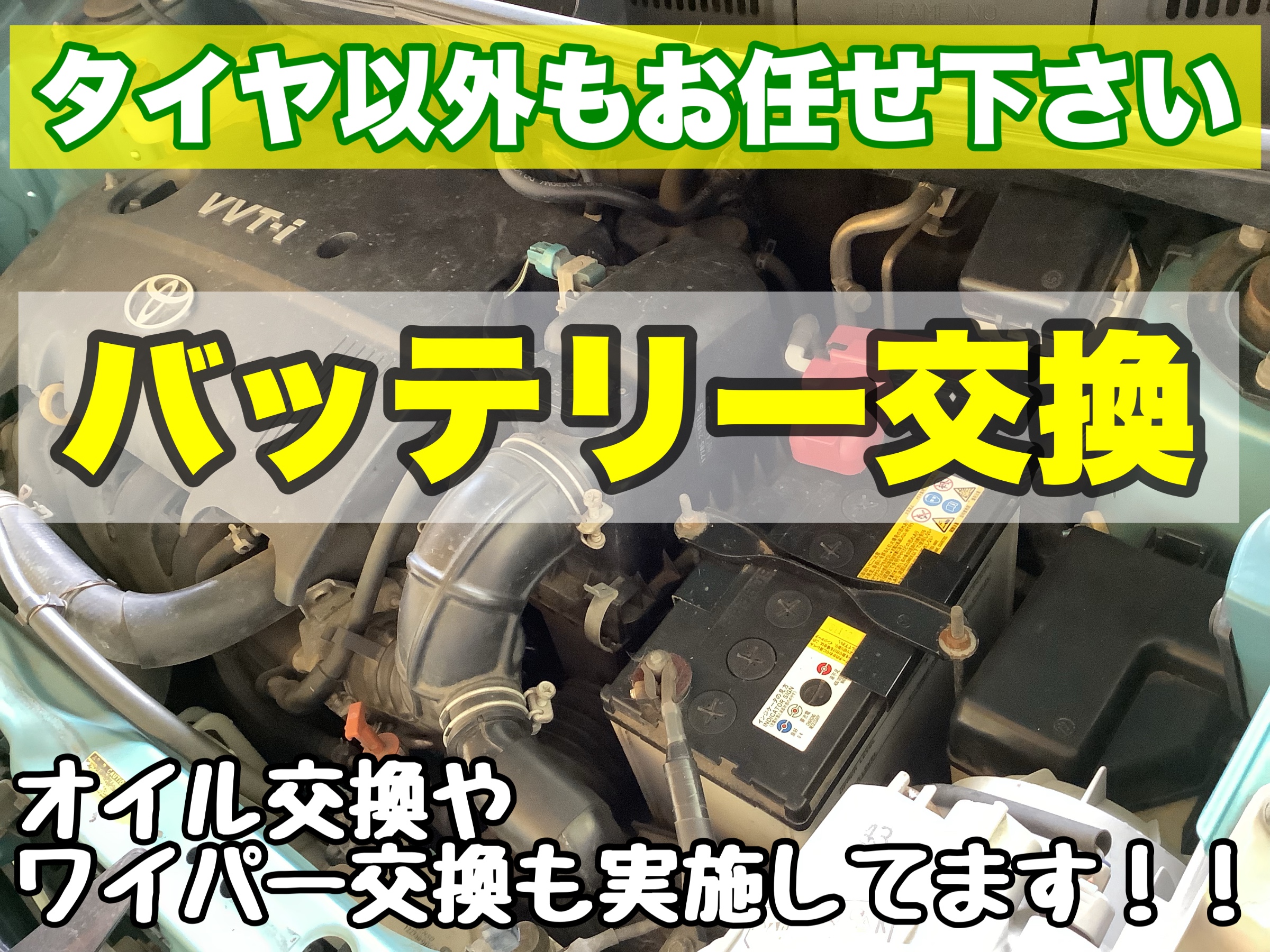 スタッフが撮影加工