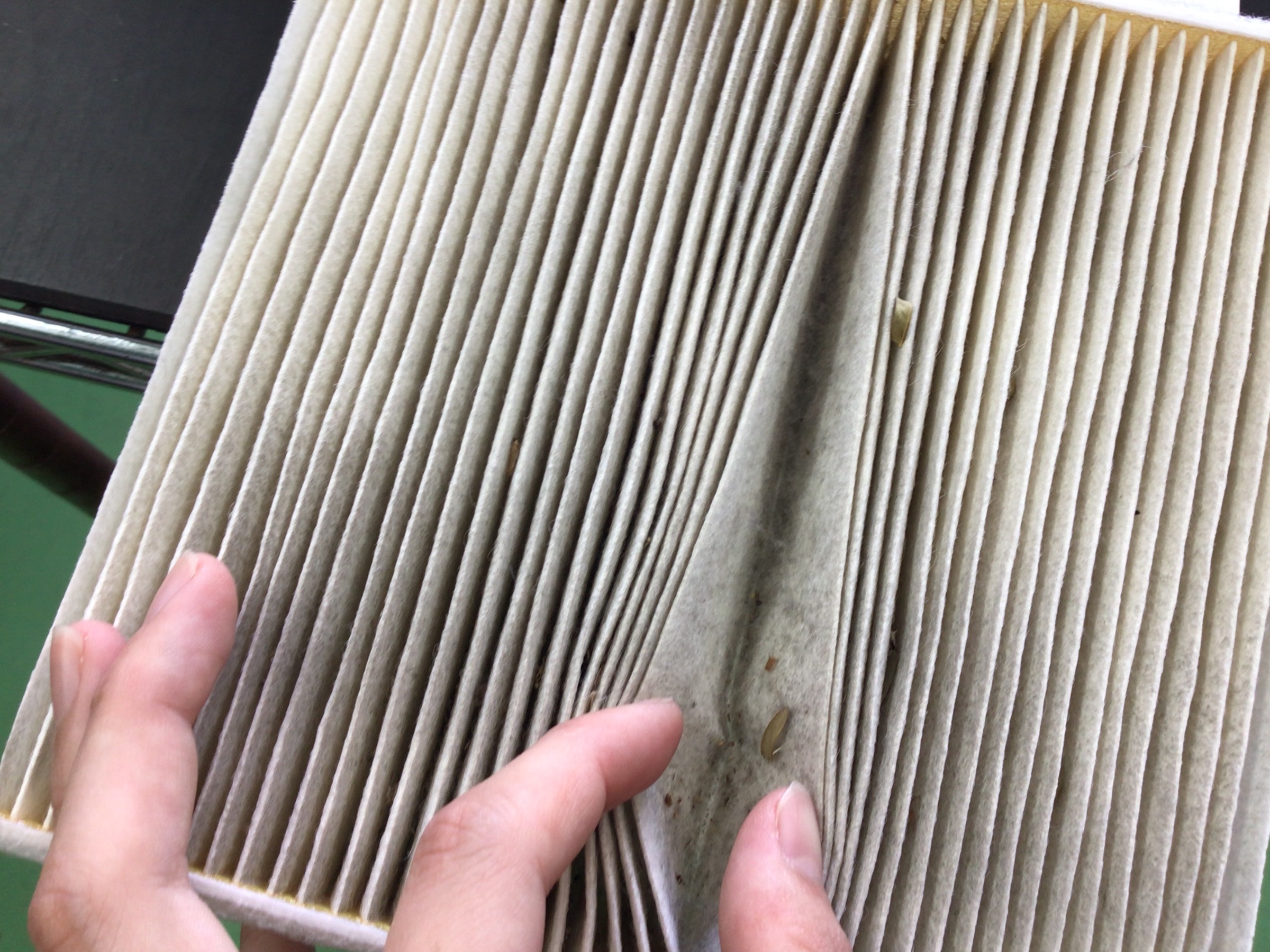 スタッフ撮影分