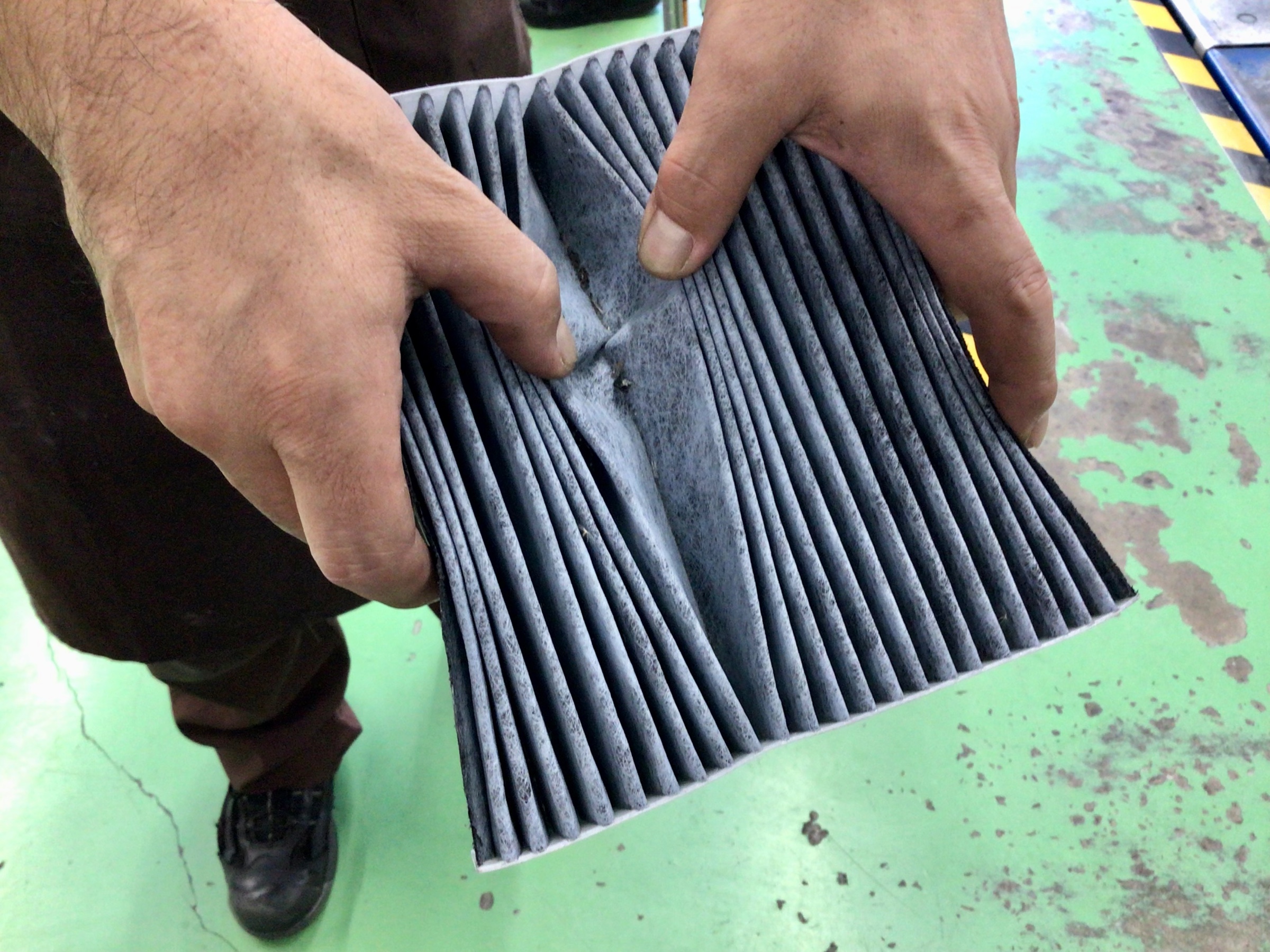 スタッフ撮影分