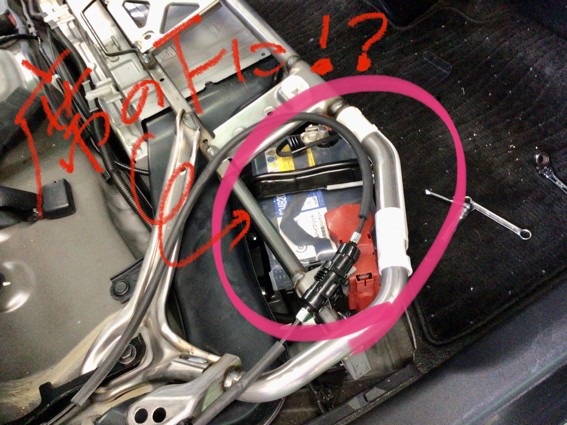 スタッフ撮影分