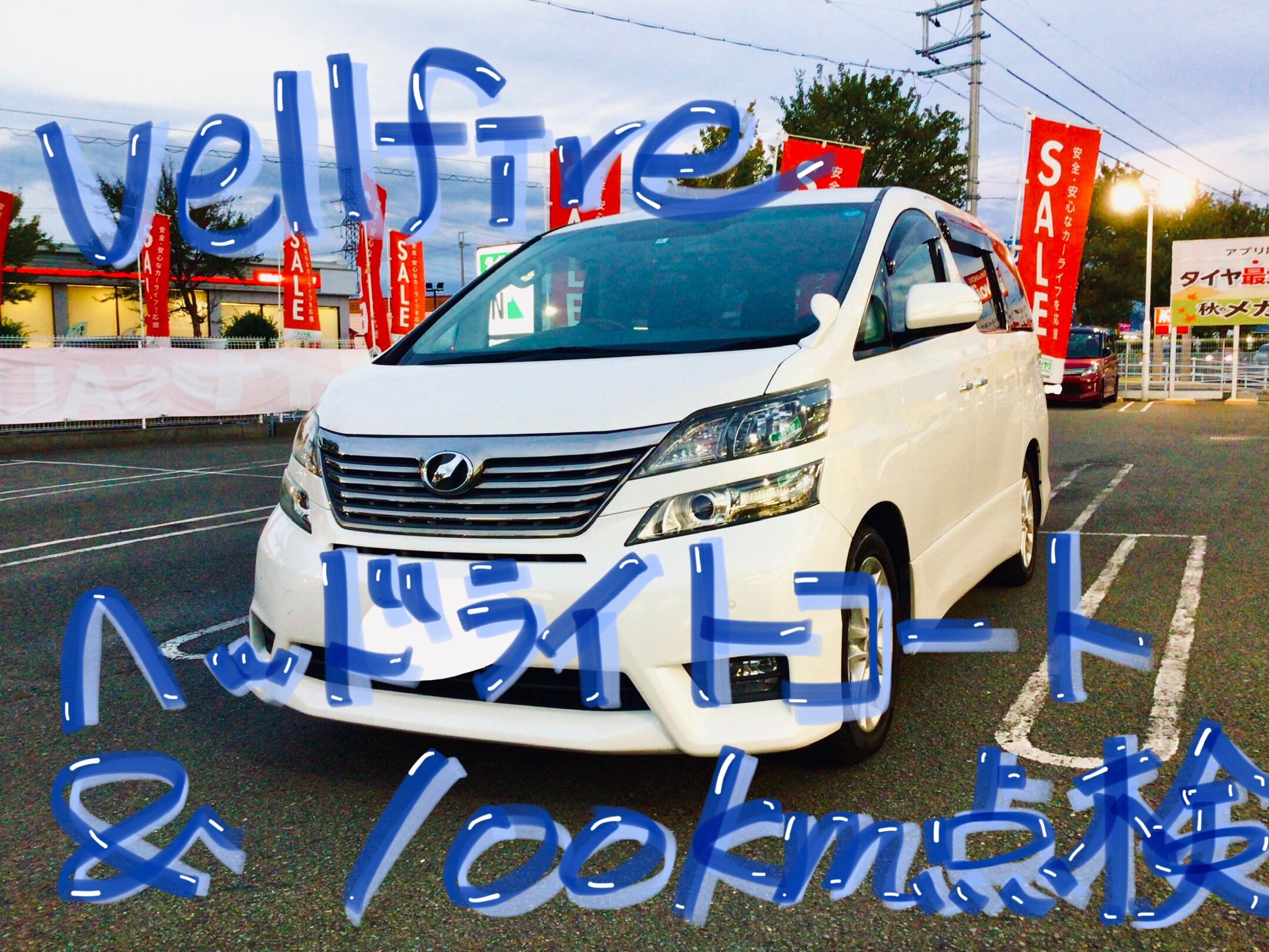 スタッフ撮影分