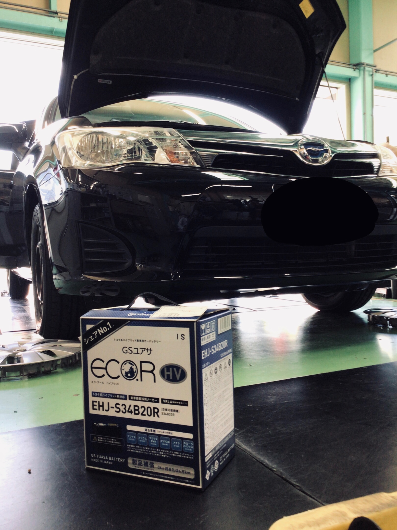 スタッフ撮影分