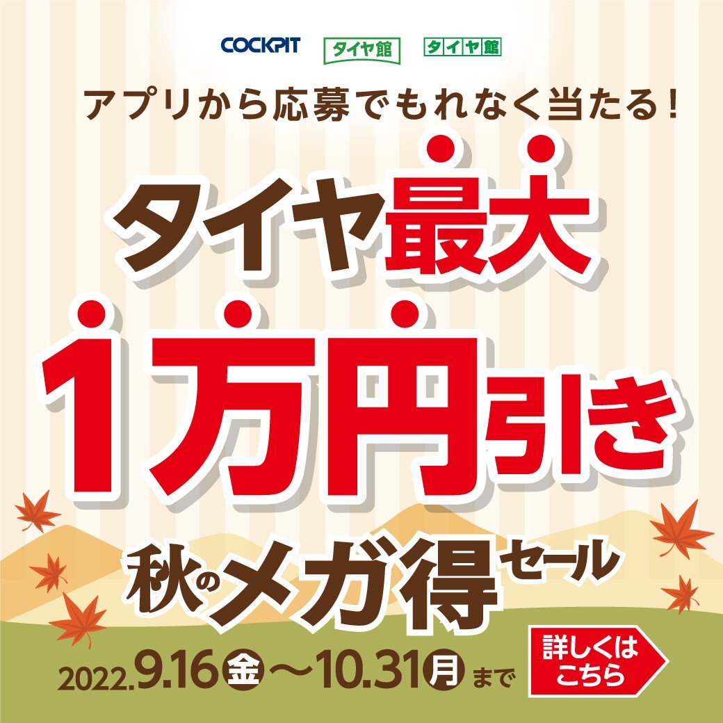 本部提供分画像使用