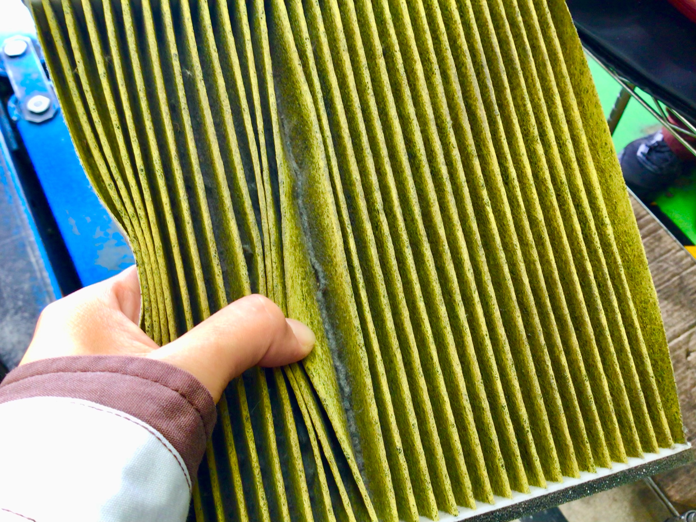 スタッフ撮影分