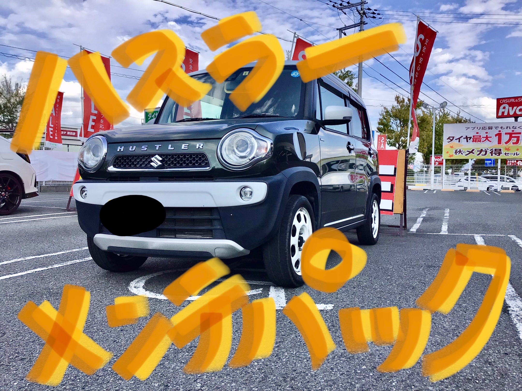 スタッフ撮影分