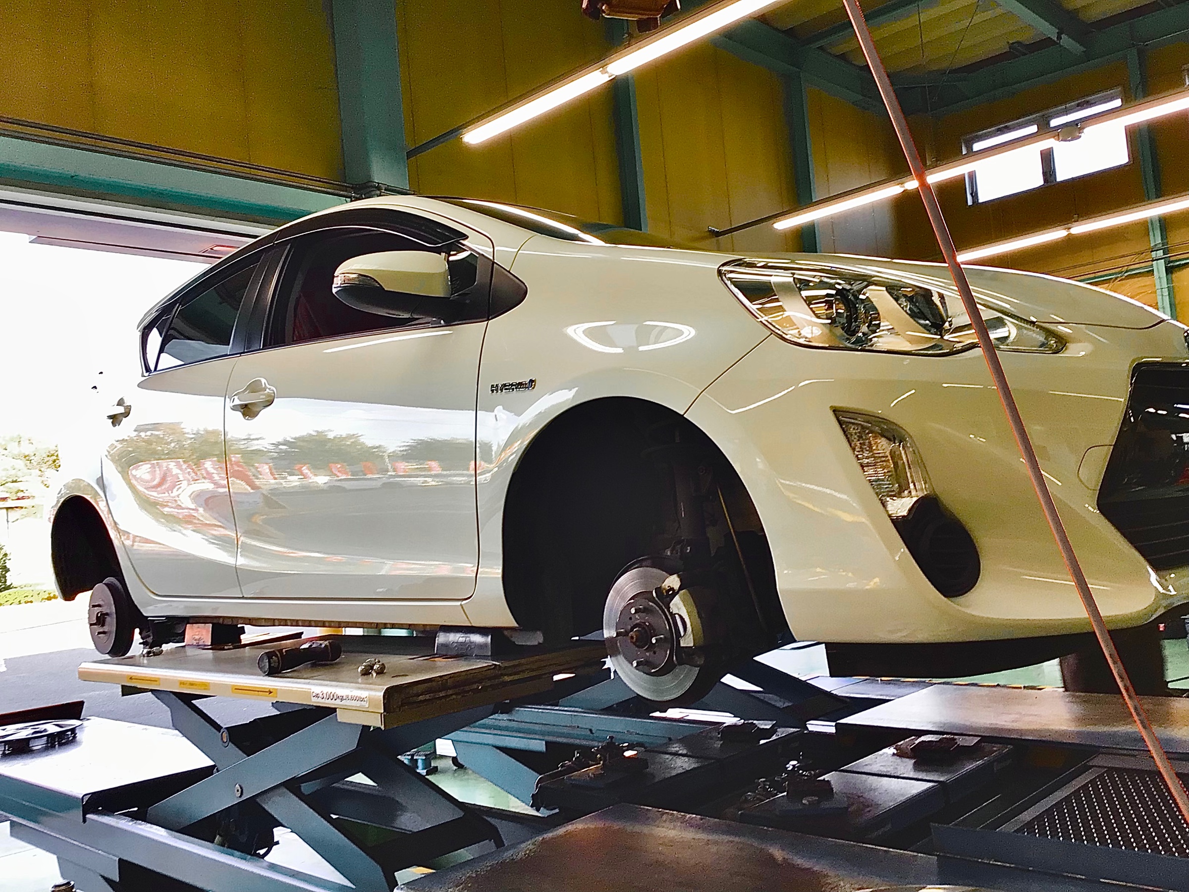 スタッフ撮影分