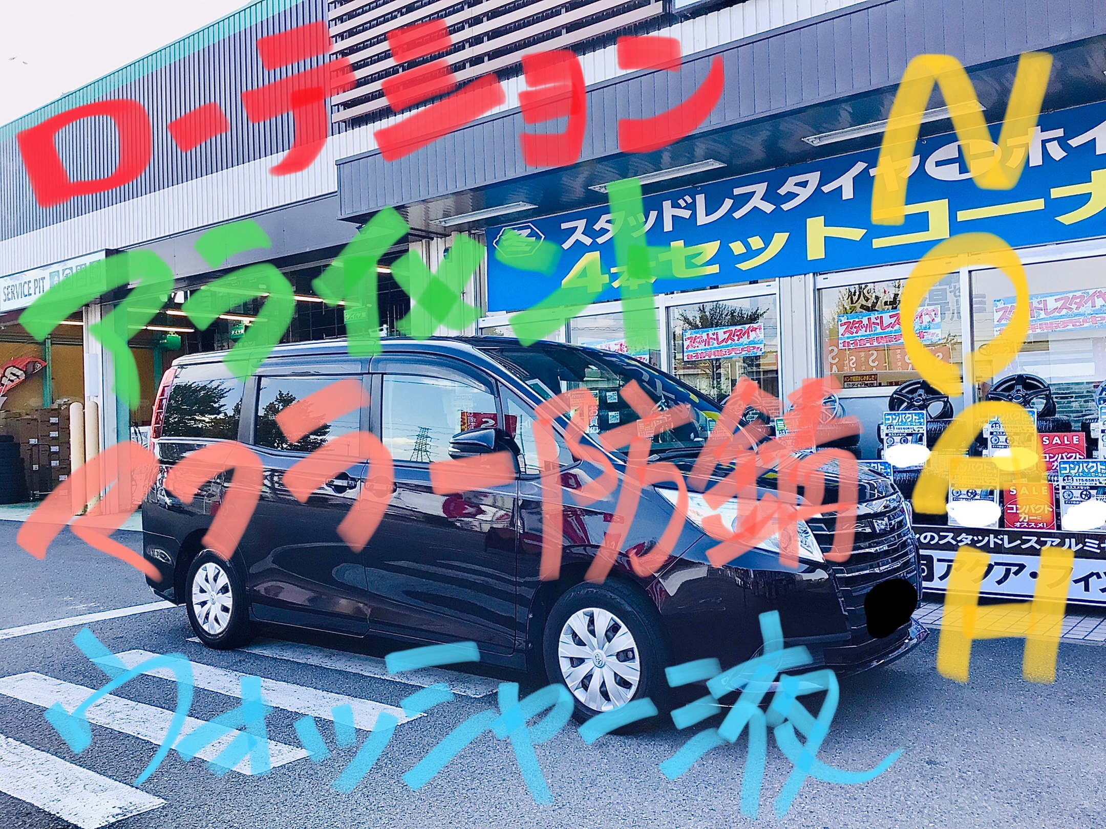 スタッフ撮影分