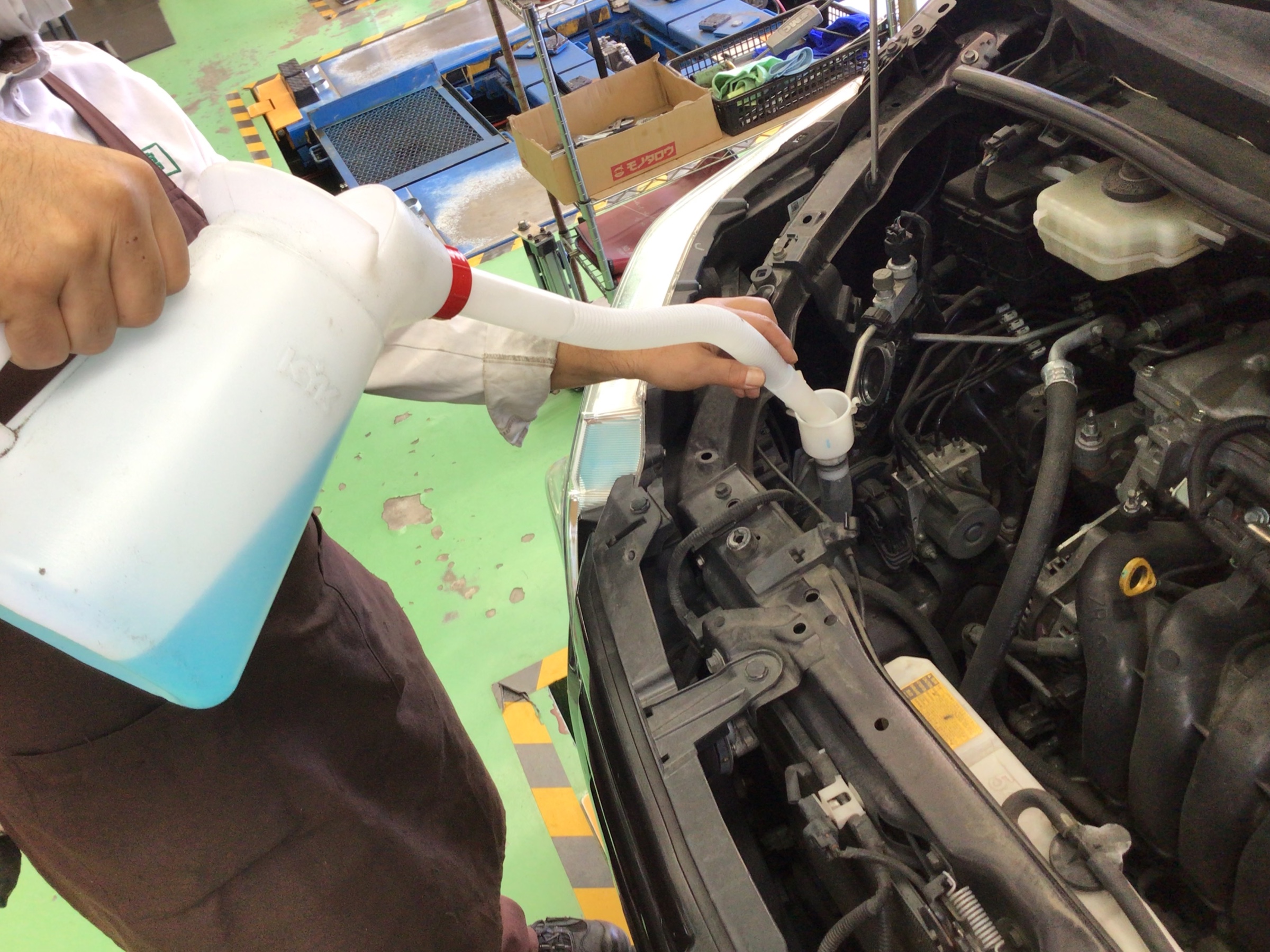 スタッフ撮影分