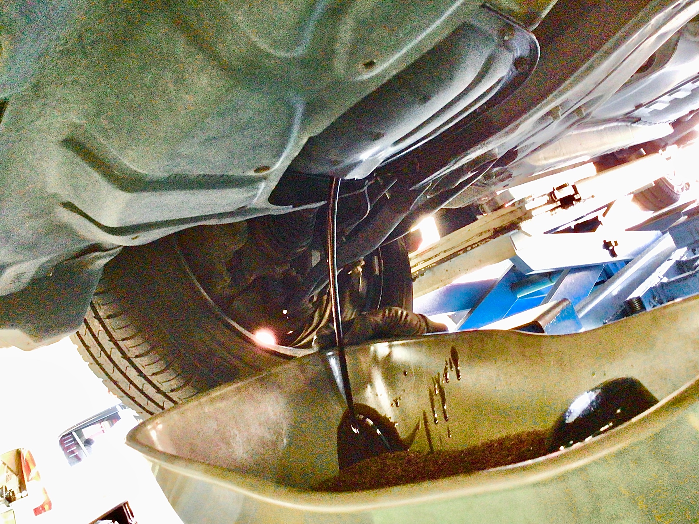 スタッフ撮影分