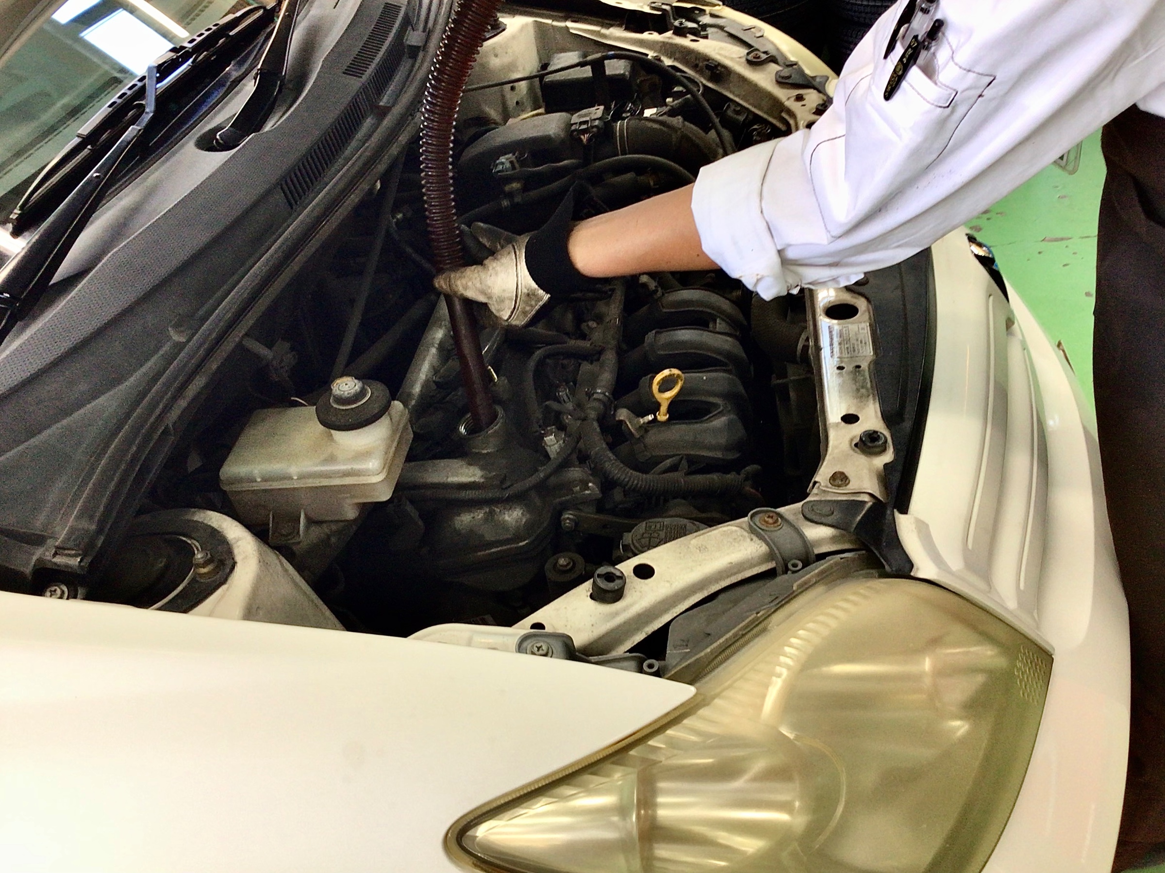 スタッフ撮影分