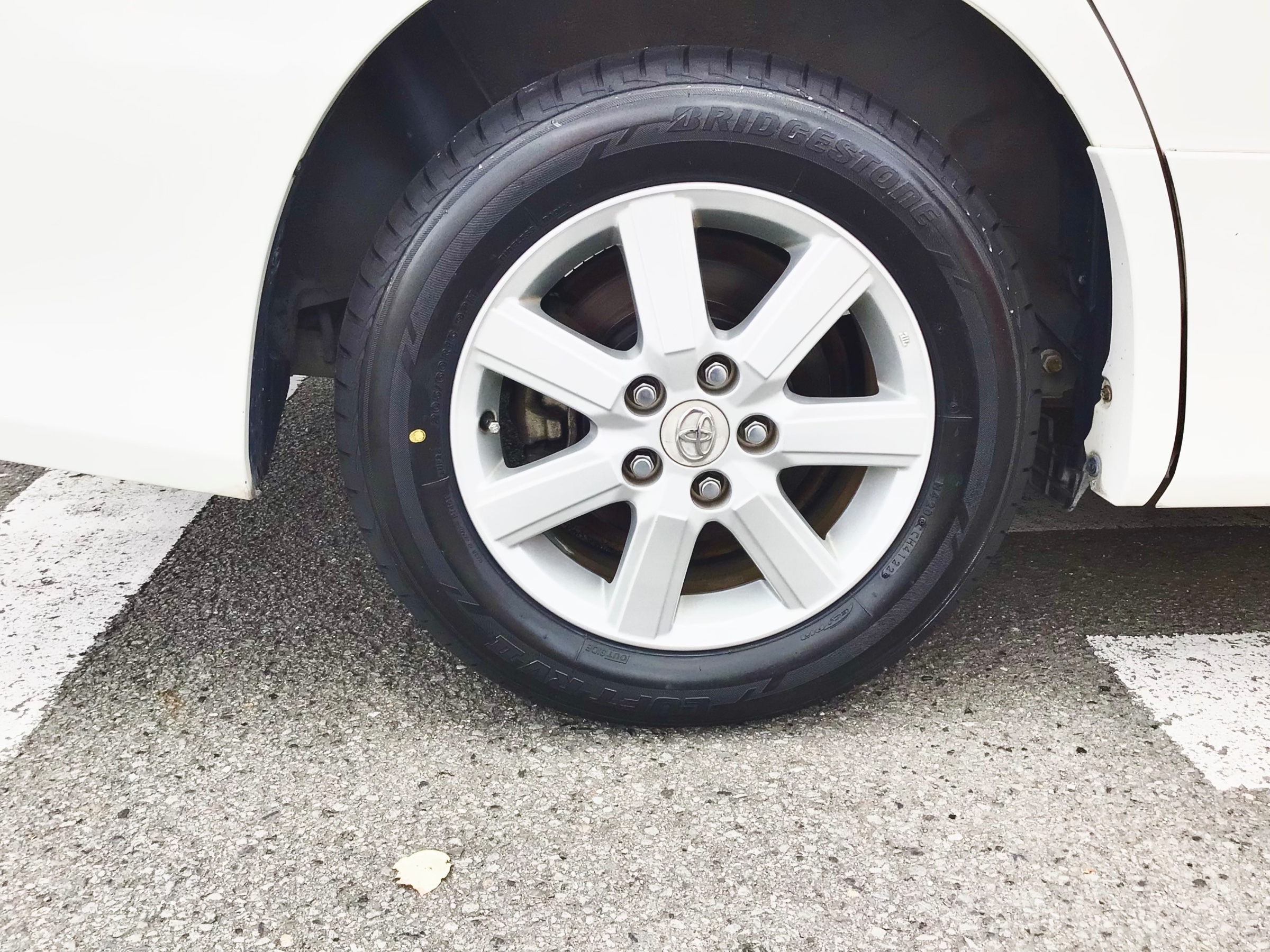 スタッフ撮影分