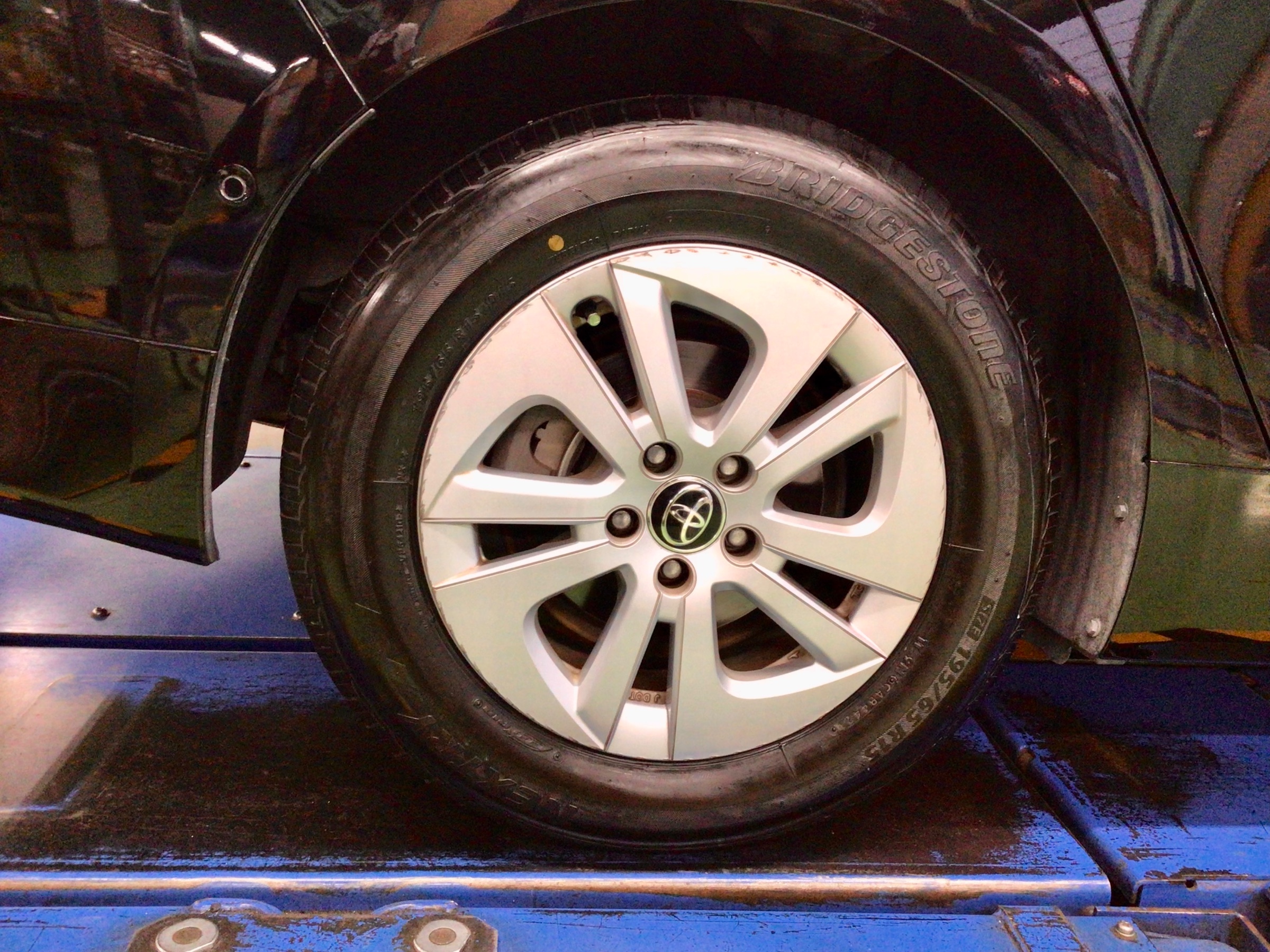 スタッフ撮影分