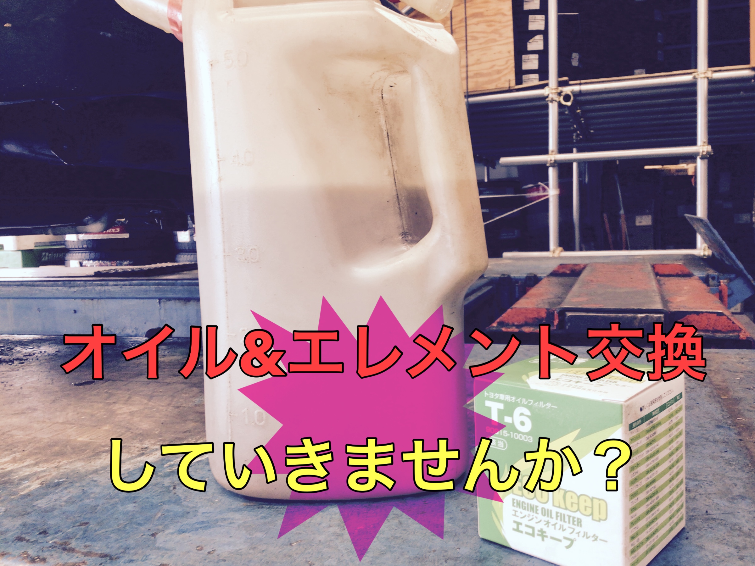 スタッフ撮影画像です