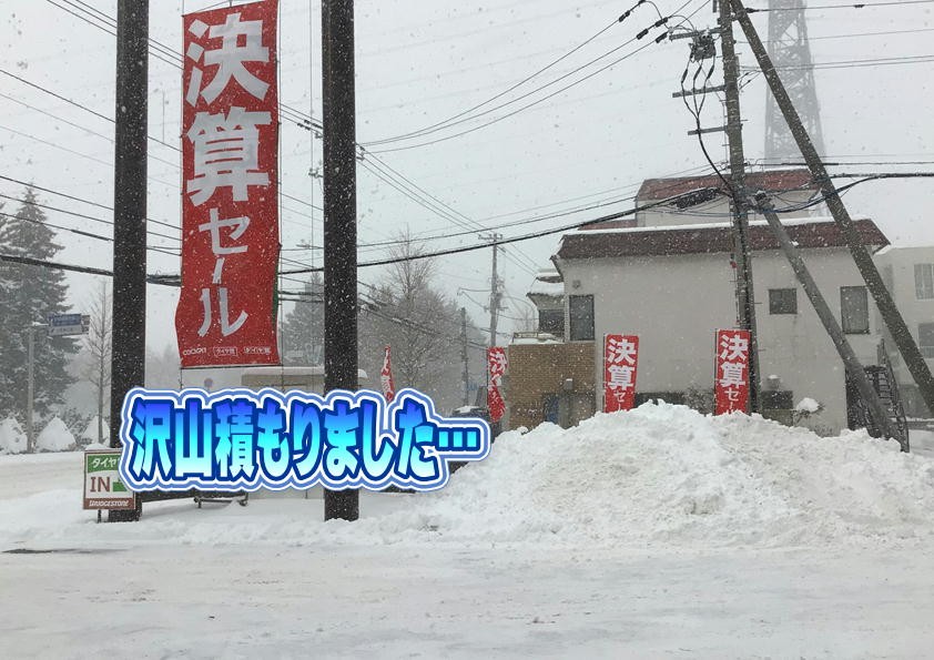 スタッフが撮影した写真です