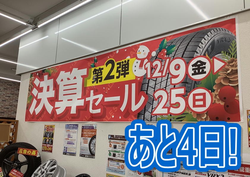 スタッフが撮影した写真です。