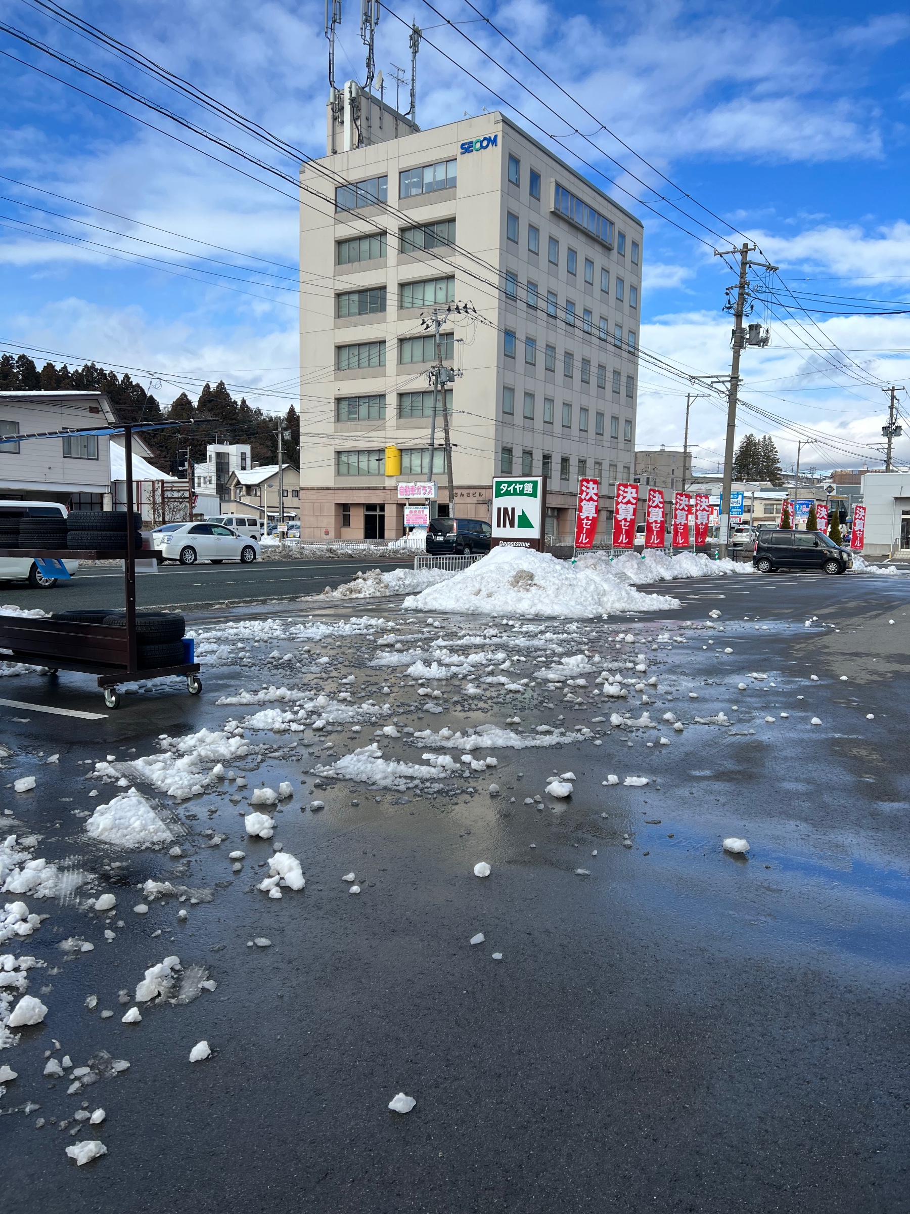 スタッフ撮影です