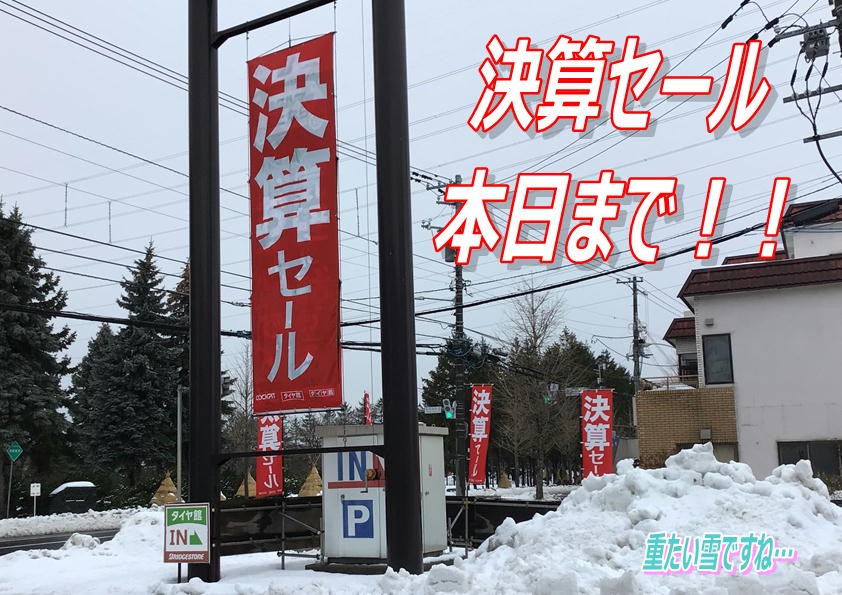 スタッフが撮影した写真です。