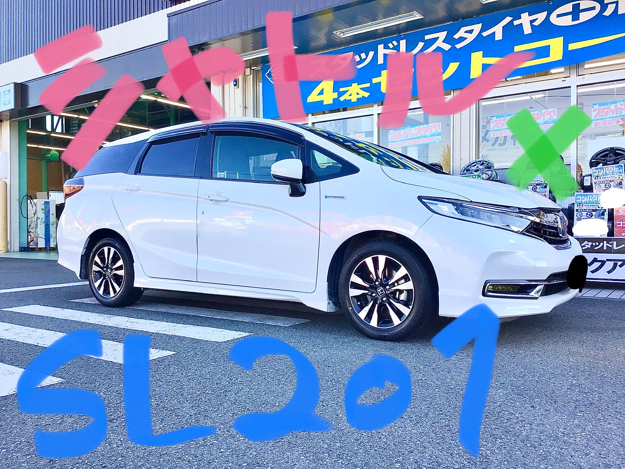 スタッフ撮影分