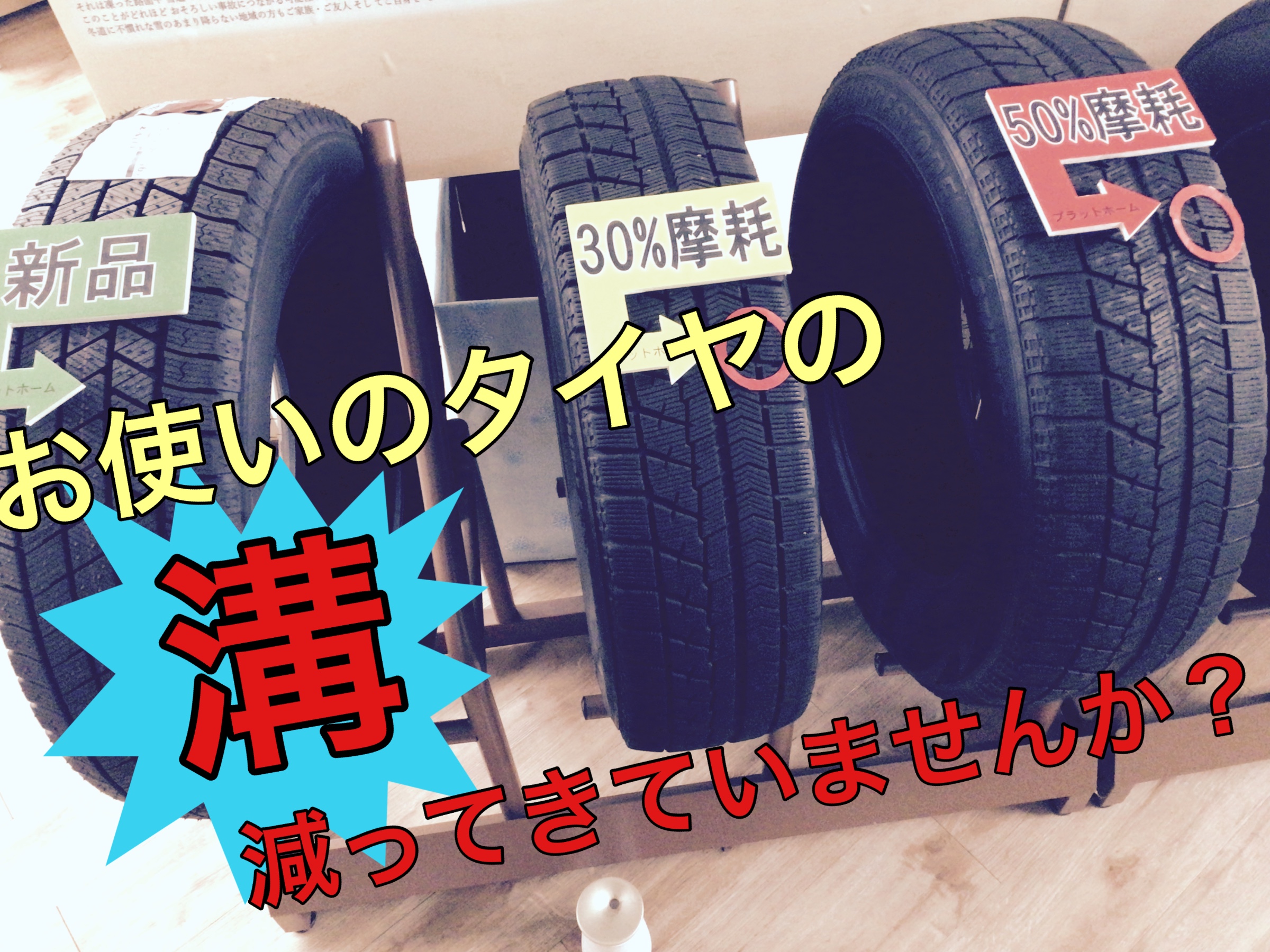 スタッフ撮影画像です