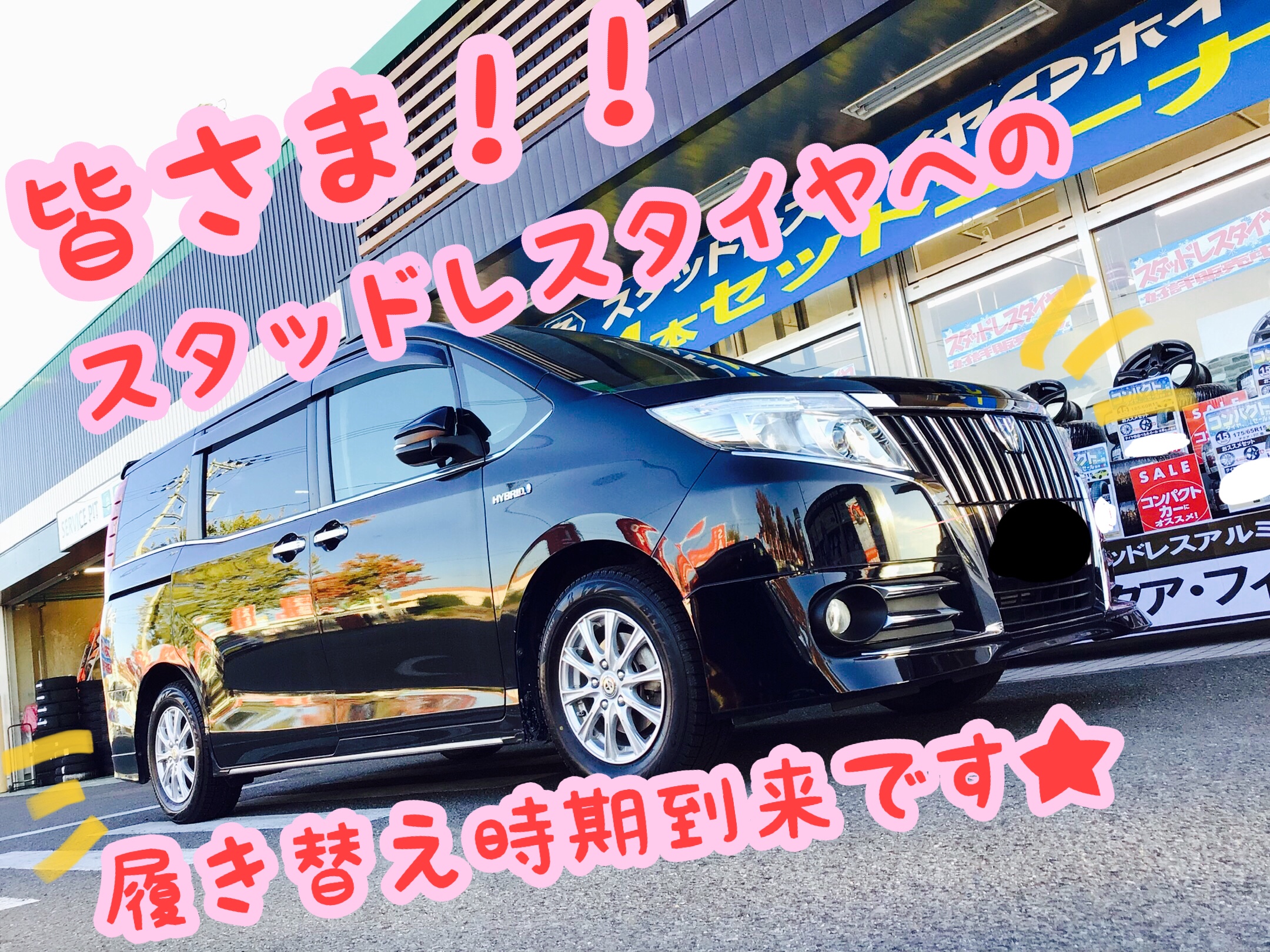 スタッフ撮影分