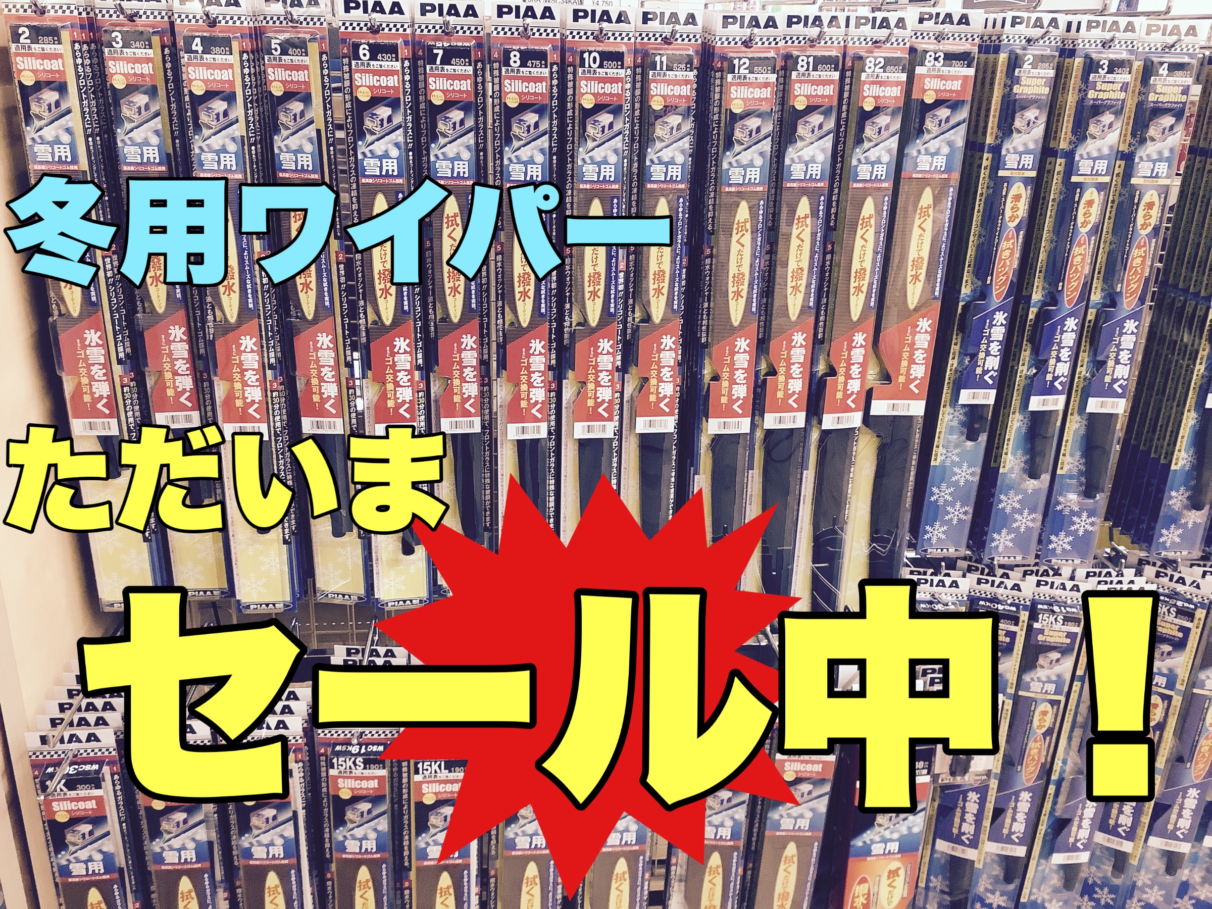 スタッフ撮影画像です