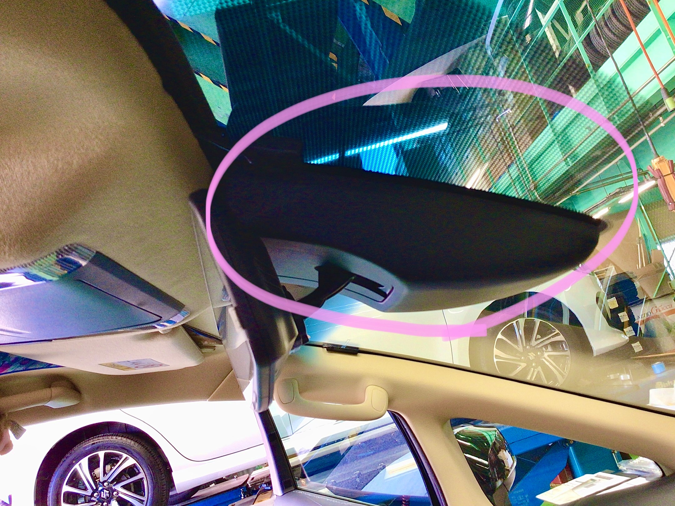 スタッフ撮影分