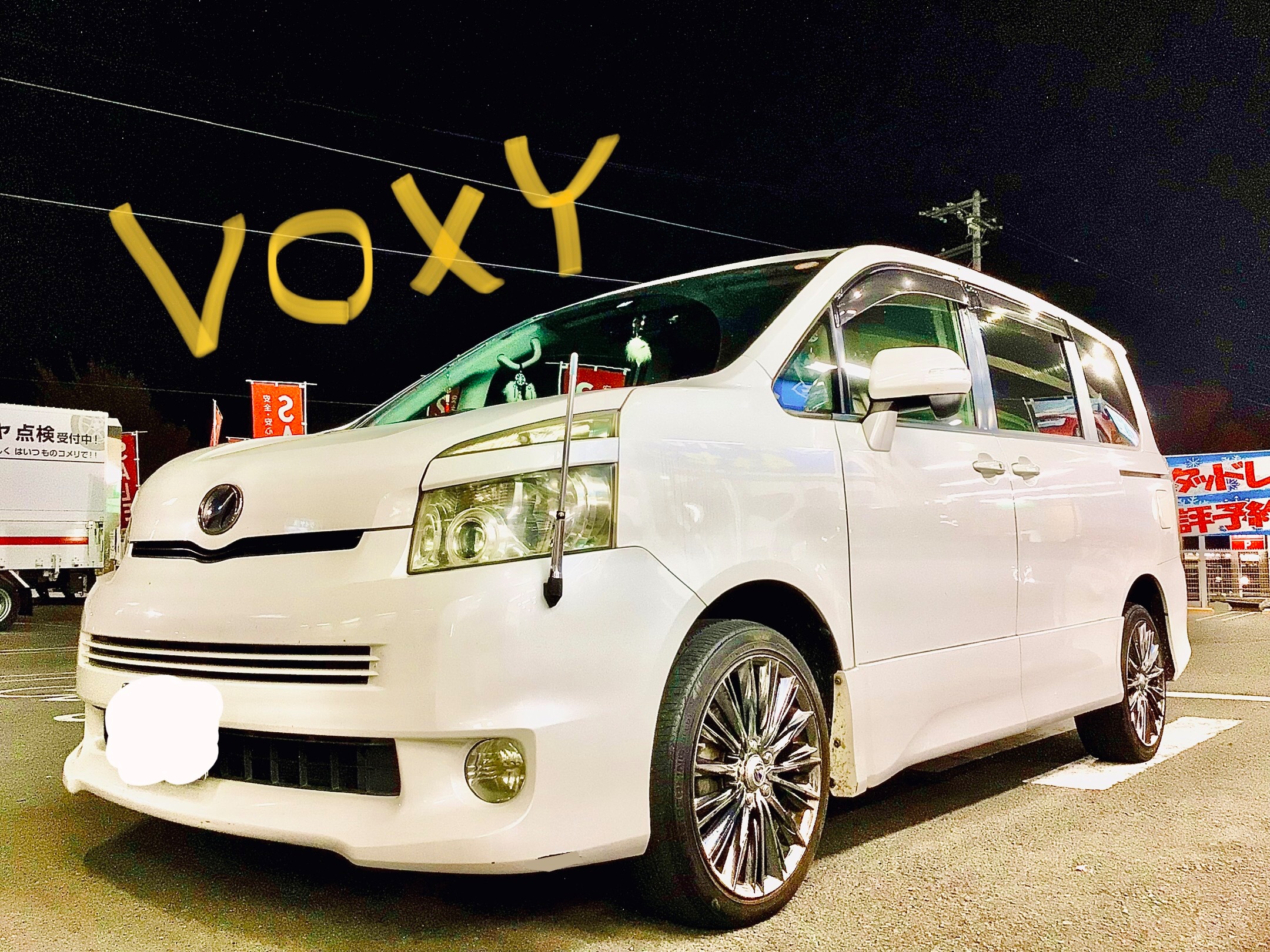 スタッフ撮影分