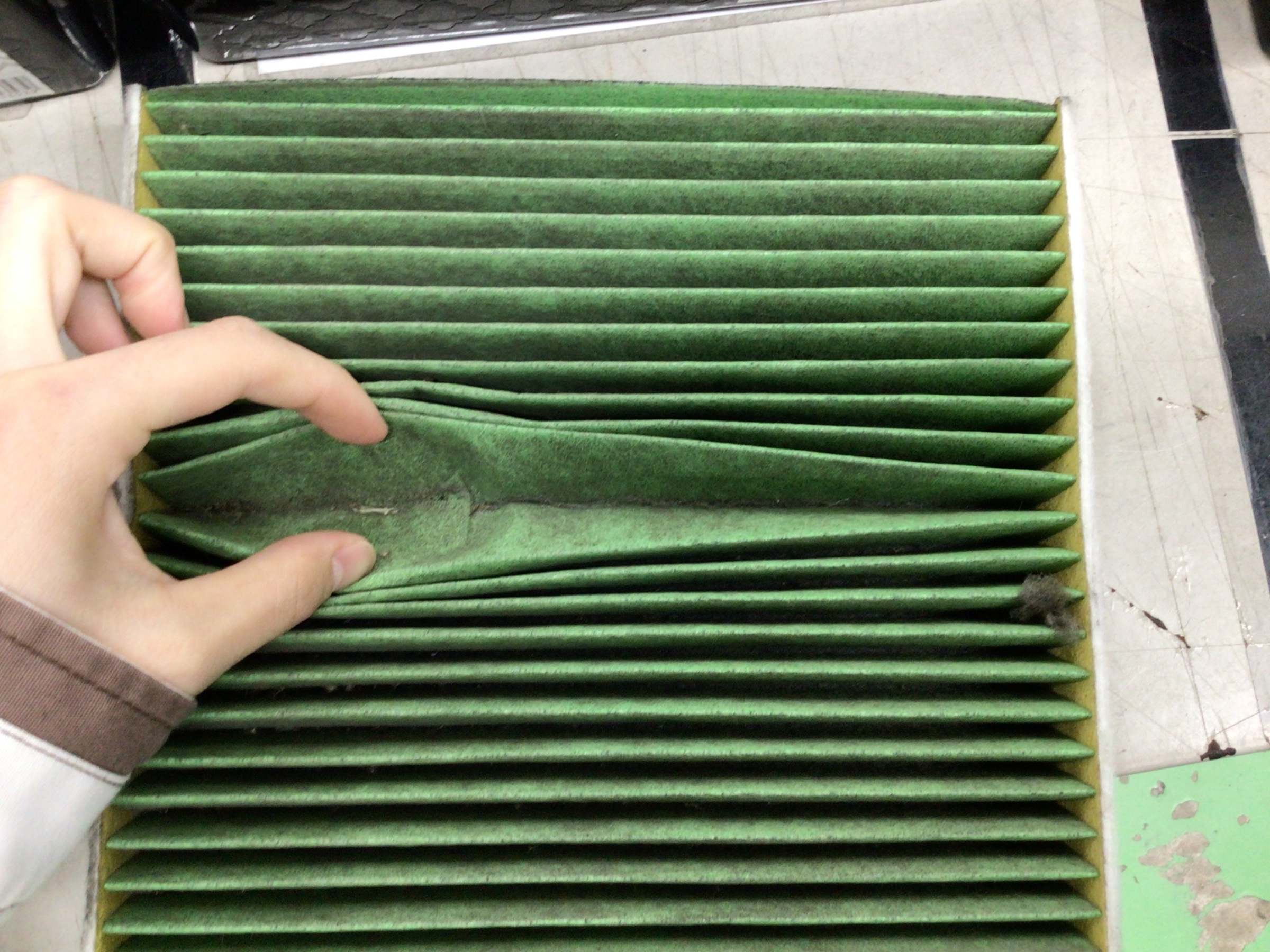 スタッフ撮影分