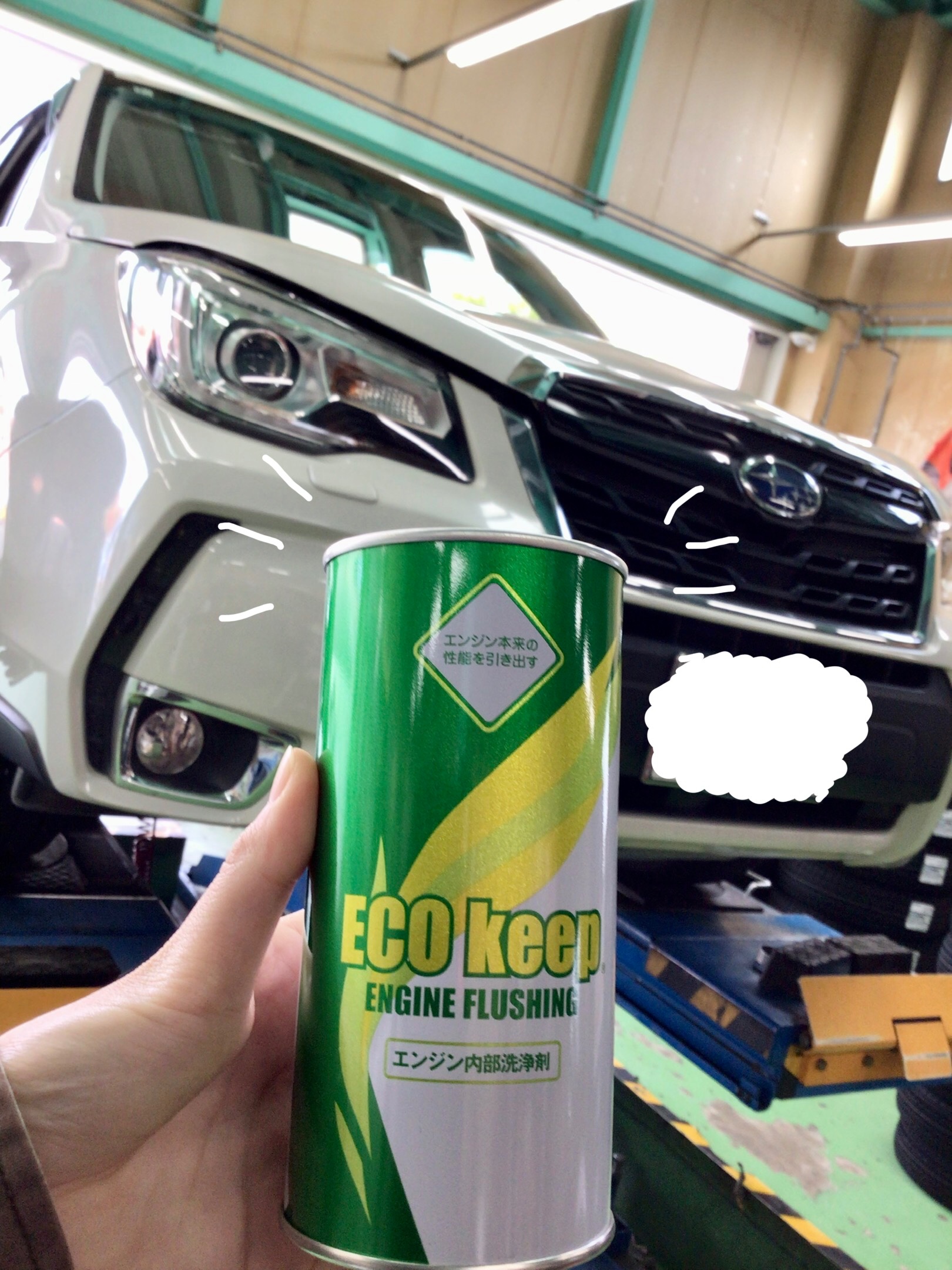 スタッフ撮影分