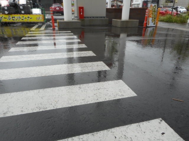 スタッフが撮った写真