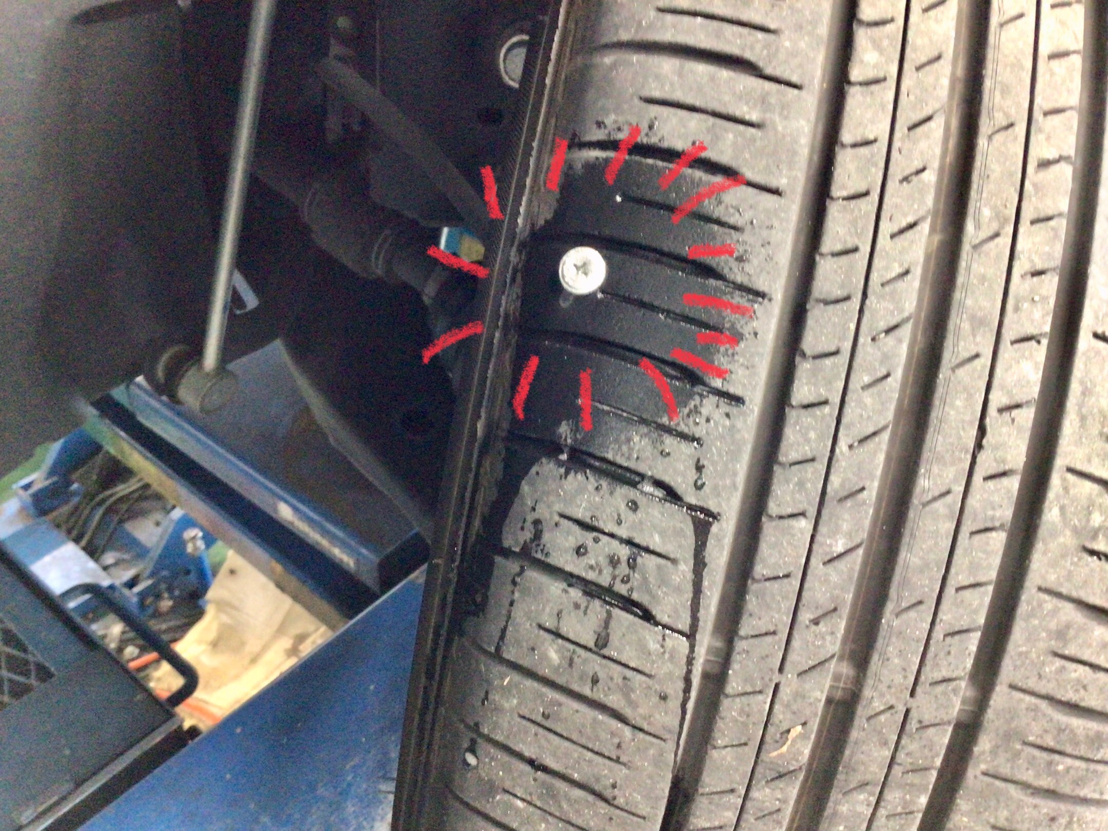 スタッフ撮影分