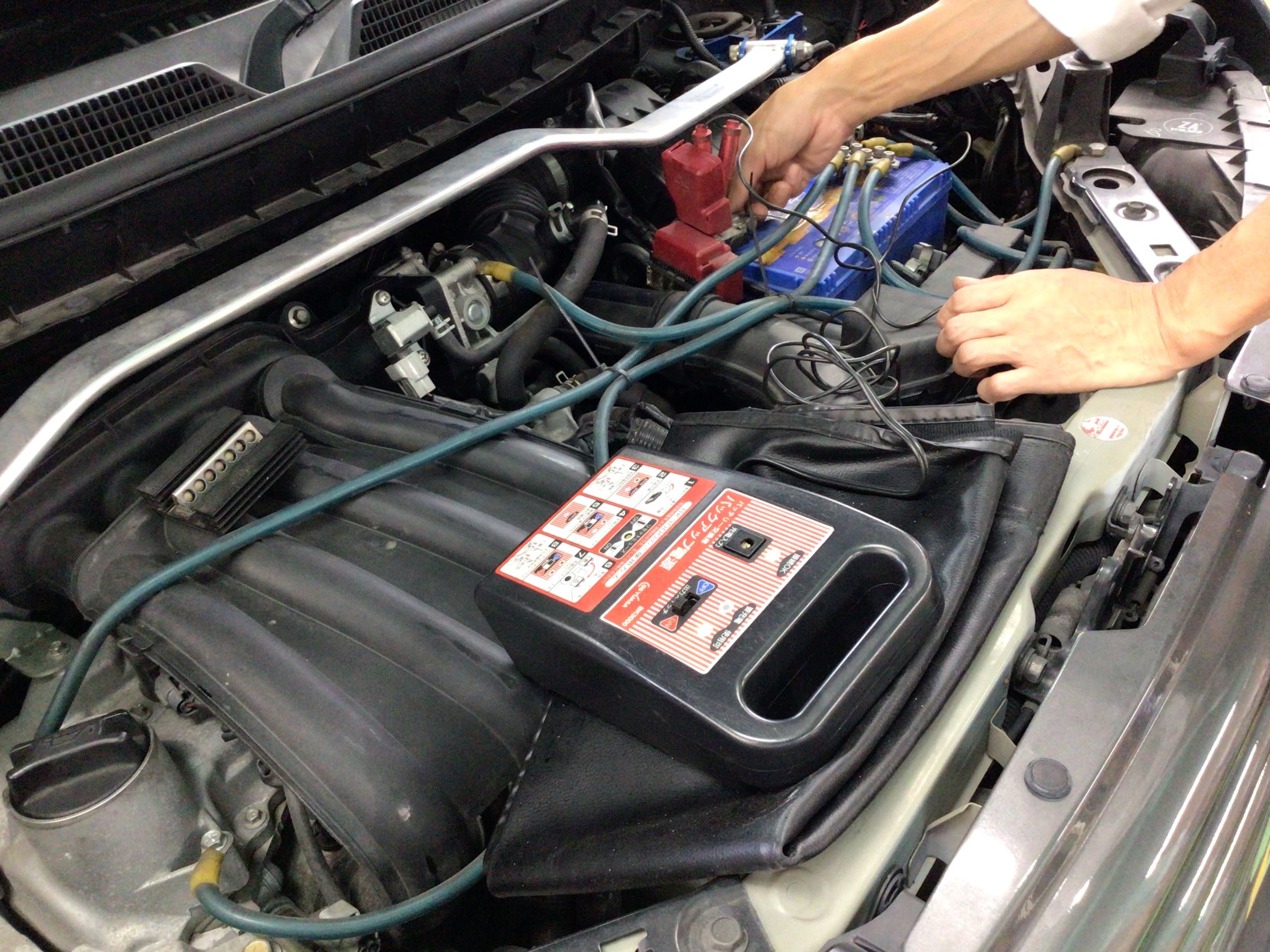 スタッフ撮影分