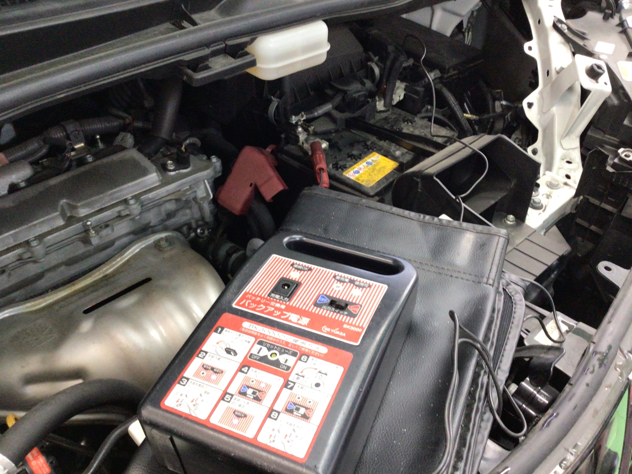 スタッフ撮影分