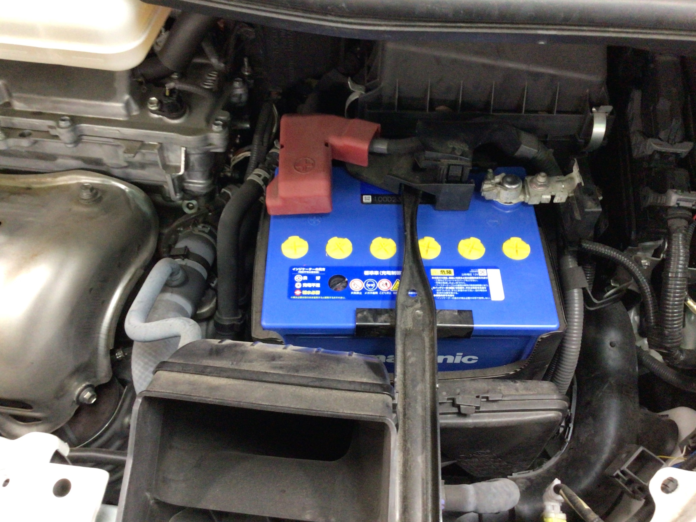 スタッフ撮影分