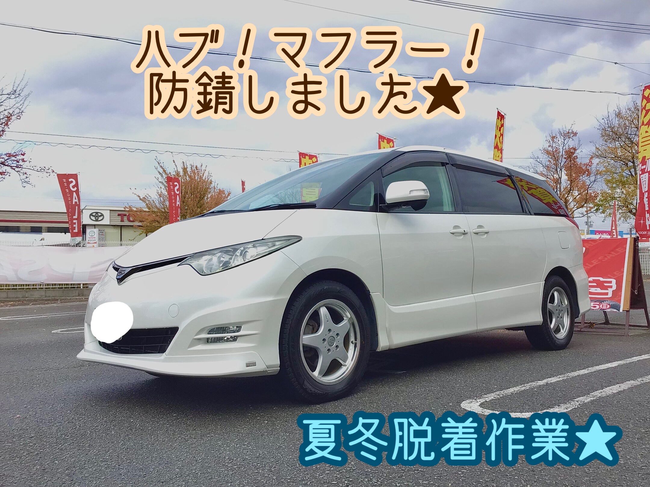 スタッフ撮影分