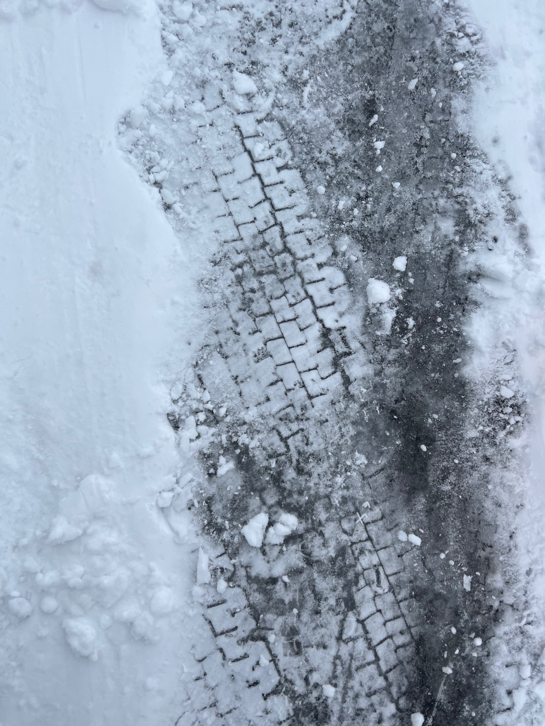 スタッフ撮影です