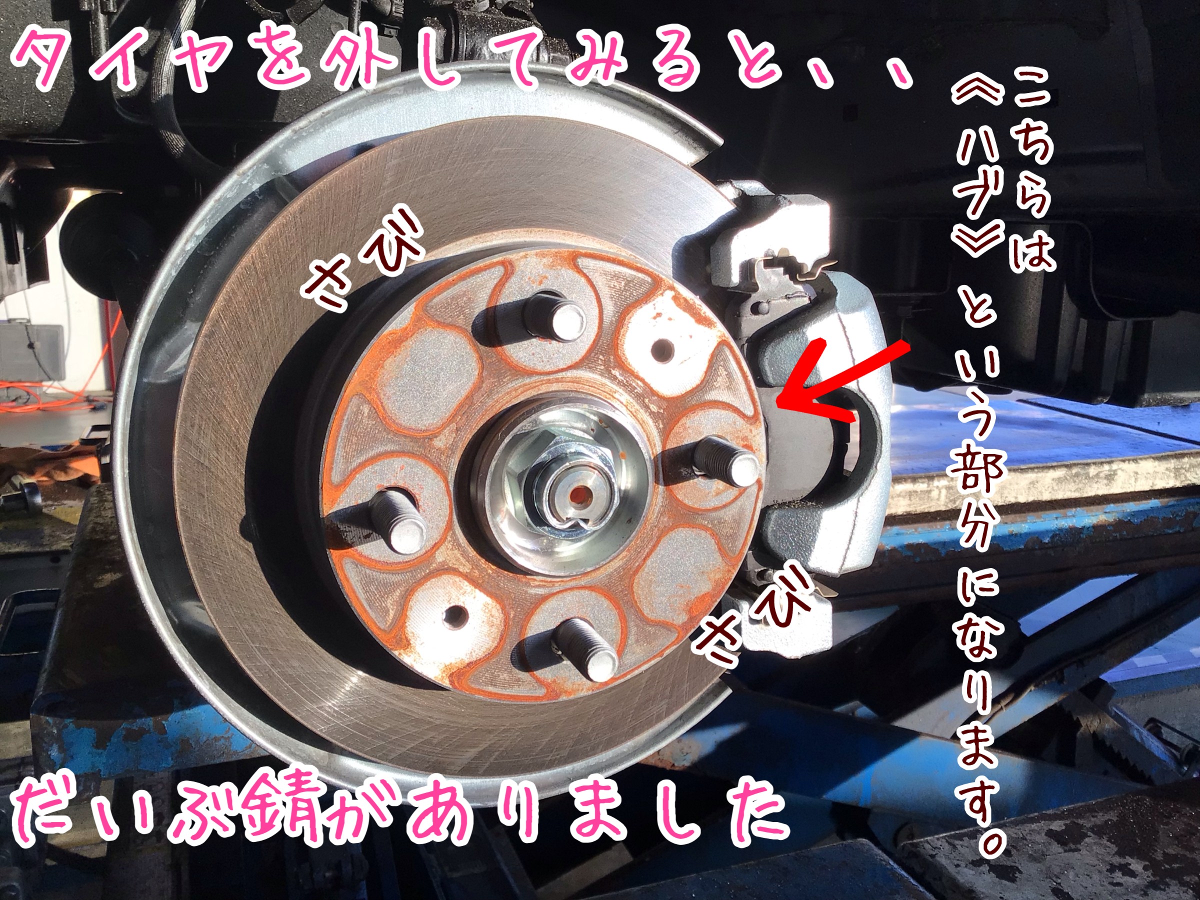 スタッフが撮影加工した画像