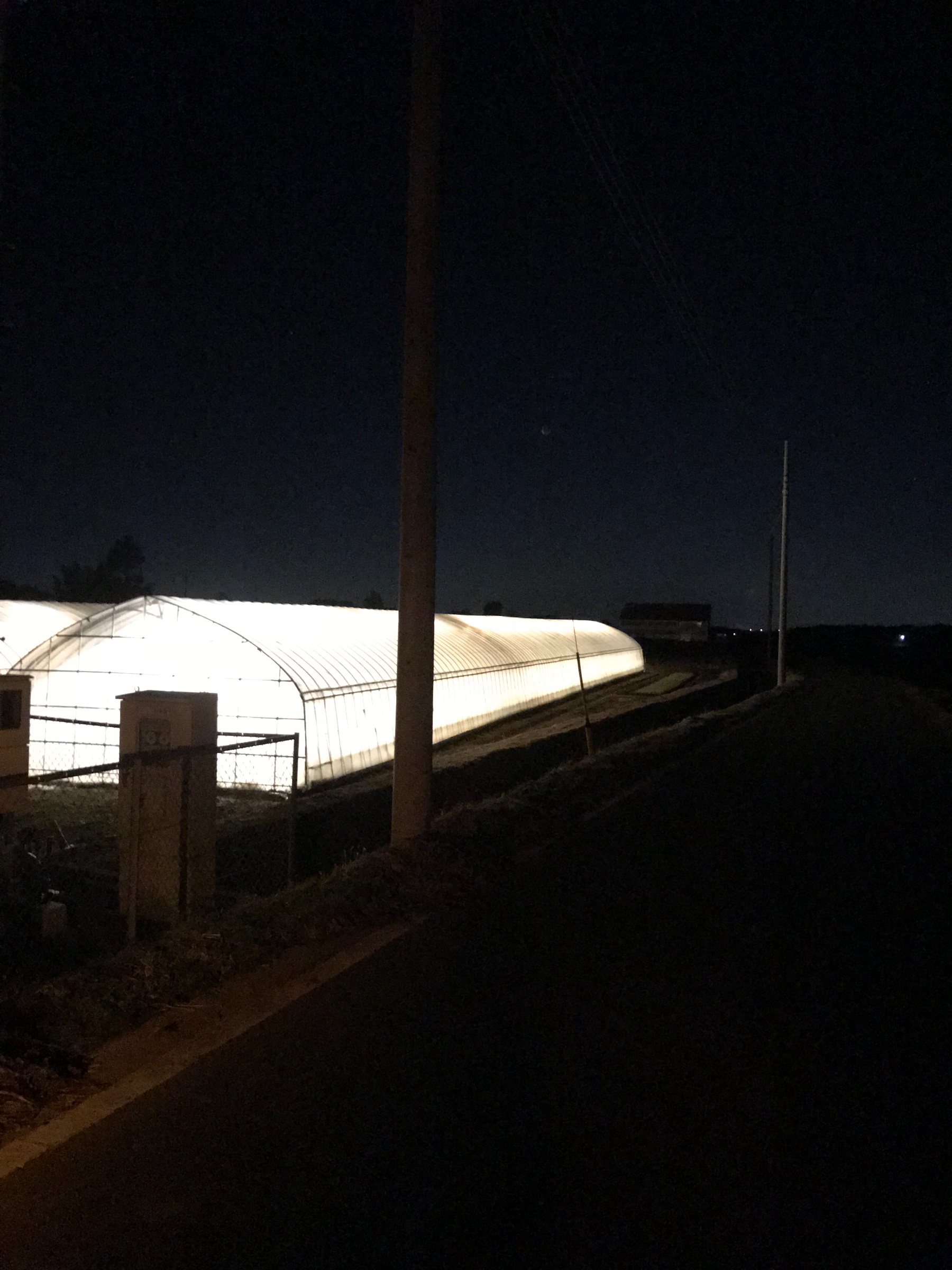 スタッフ撮影です。