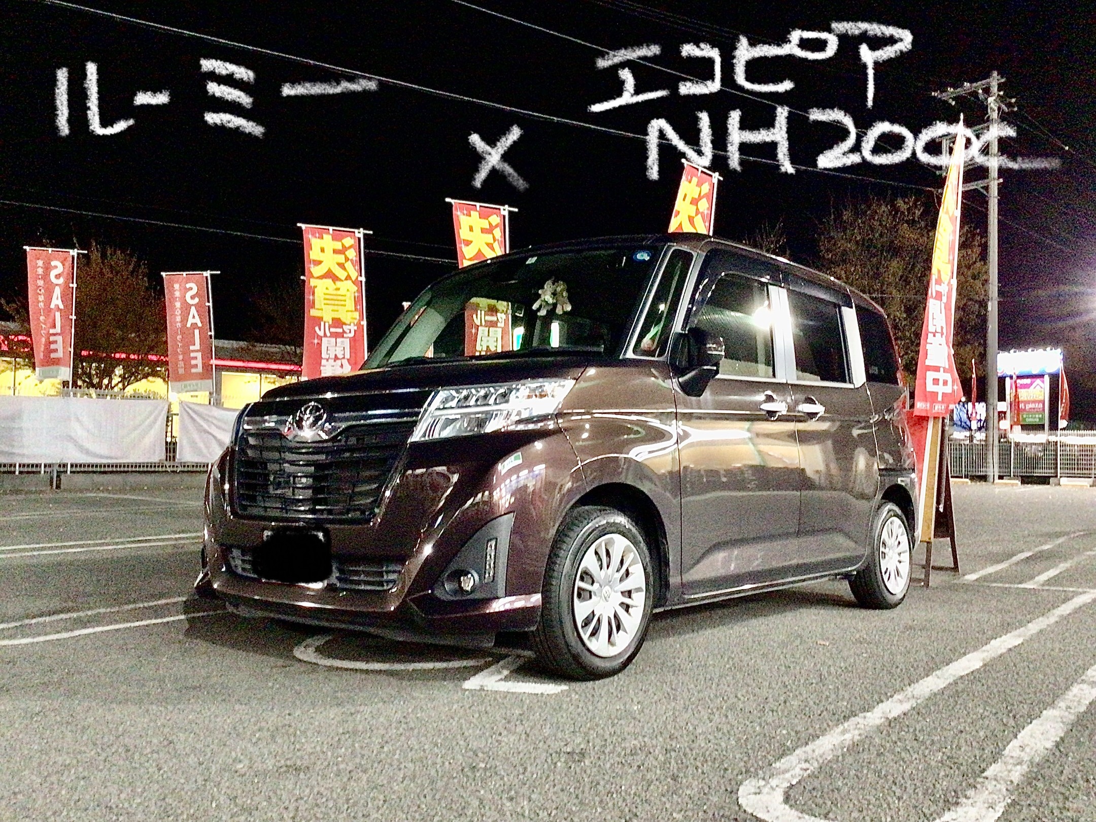 スタッフ撮影分