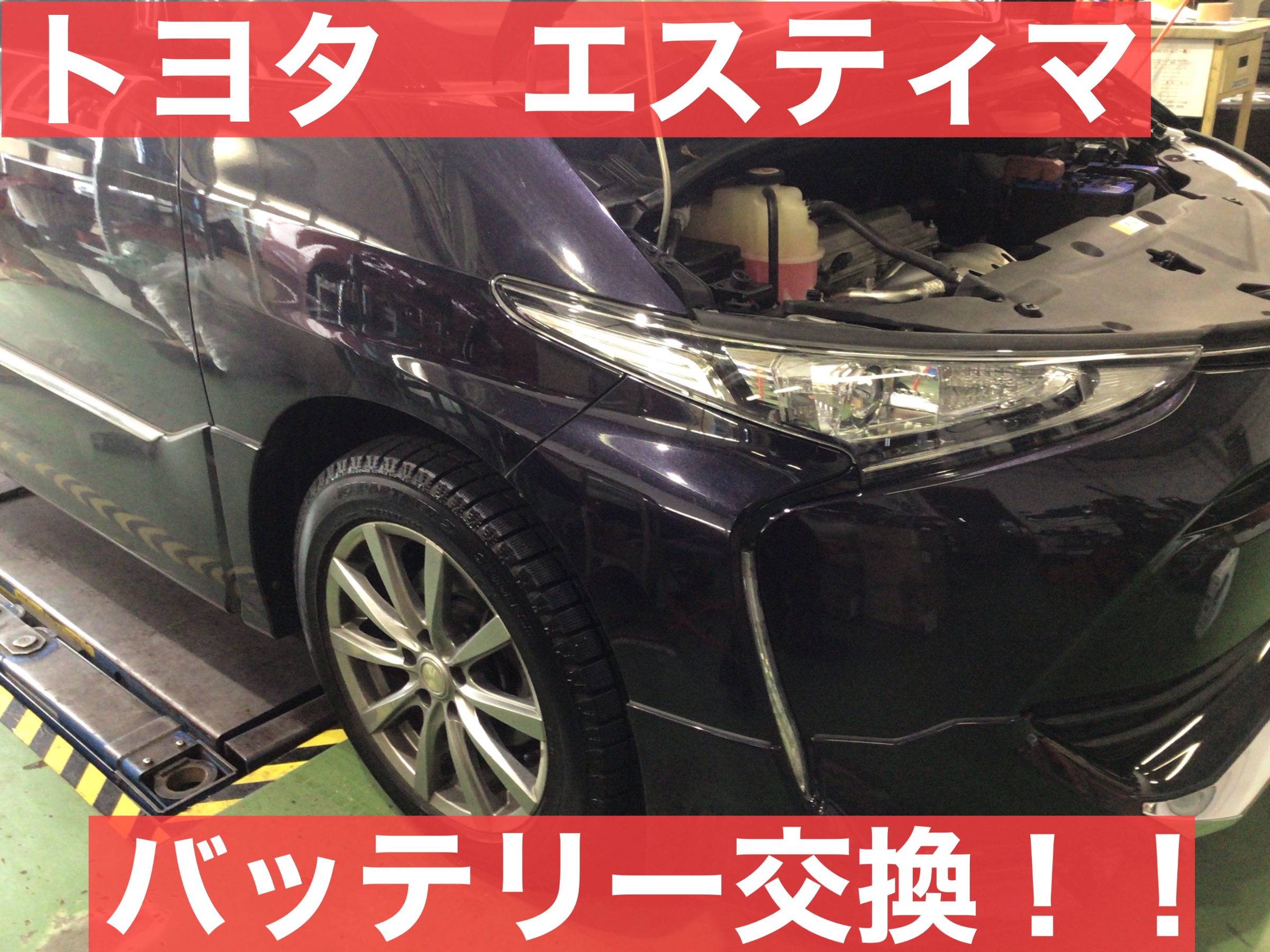 スタッフ