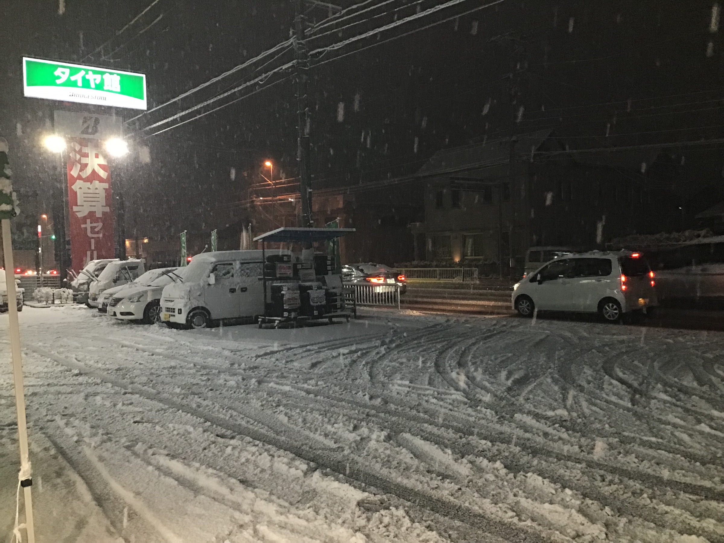 スタッフ撮影です