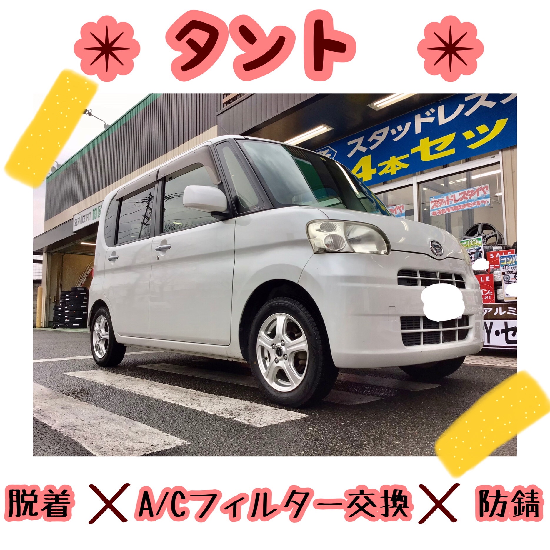 スタッフ撮影分